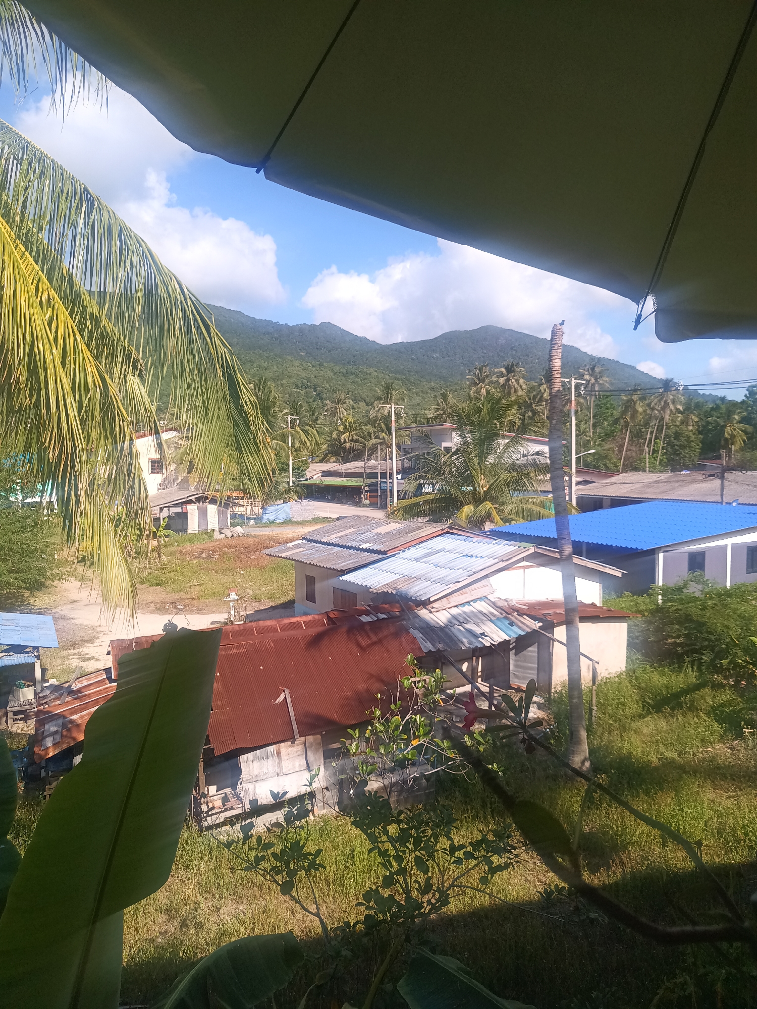 This image captures a vibrant, sunny view of a village scene in Baan Chaloklum, Thailand, seen from a slightly elevated perspective. The top portion of the frame is dominated by a dark green awning or umbrella, partially obscuring the sky and distant elements.
In the immediate foreground, large, bright green palm fronds cascade from the left, and thick banana leaves are prominent in the lower left and center, adding a lush tropical feel. Beyond these, the midground reveals a collection of simple houses, primarily with corrugated metal roofs in shades of rusty red, grey, and a distinctive bright blue. Structures appear to be a mix of concrete and more rustic materials. Dirt paths and unpaved areas wind between the dwellings, interspersed with grass and various green shrubs and trees, including numerous other palm trees. A tall, bare palm trunk stands prominently near the center-right, with what appears to be a small bird perched on its very top. Utility poles and power lines crisscross parts of the village area.
In the background, majestic, forested mountains rise under a bright blue sky dotted with scattered white clouds. The overall setting suggests a rural or semi-rural coastal village nestled against natural landscapes.
The time of day appears to be either morning or late afternoon, indicated by the bright sunlight casting distinct shadows. The weather is clear and sunny. No people or specific activities are clearly visible, lending a peaceful and tranquil atmosphere to the scene. There is no discernible text in the image.