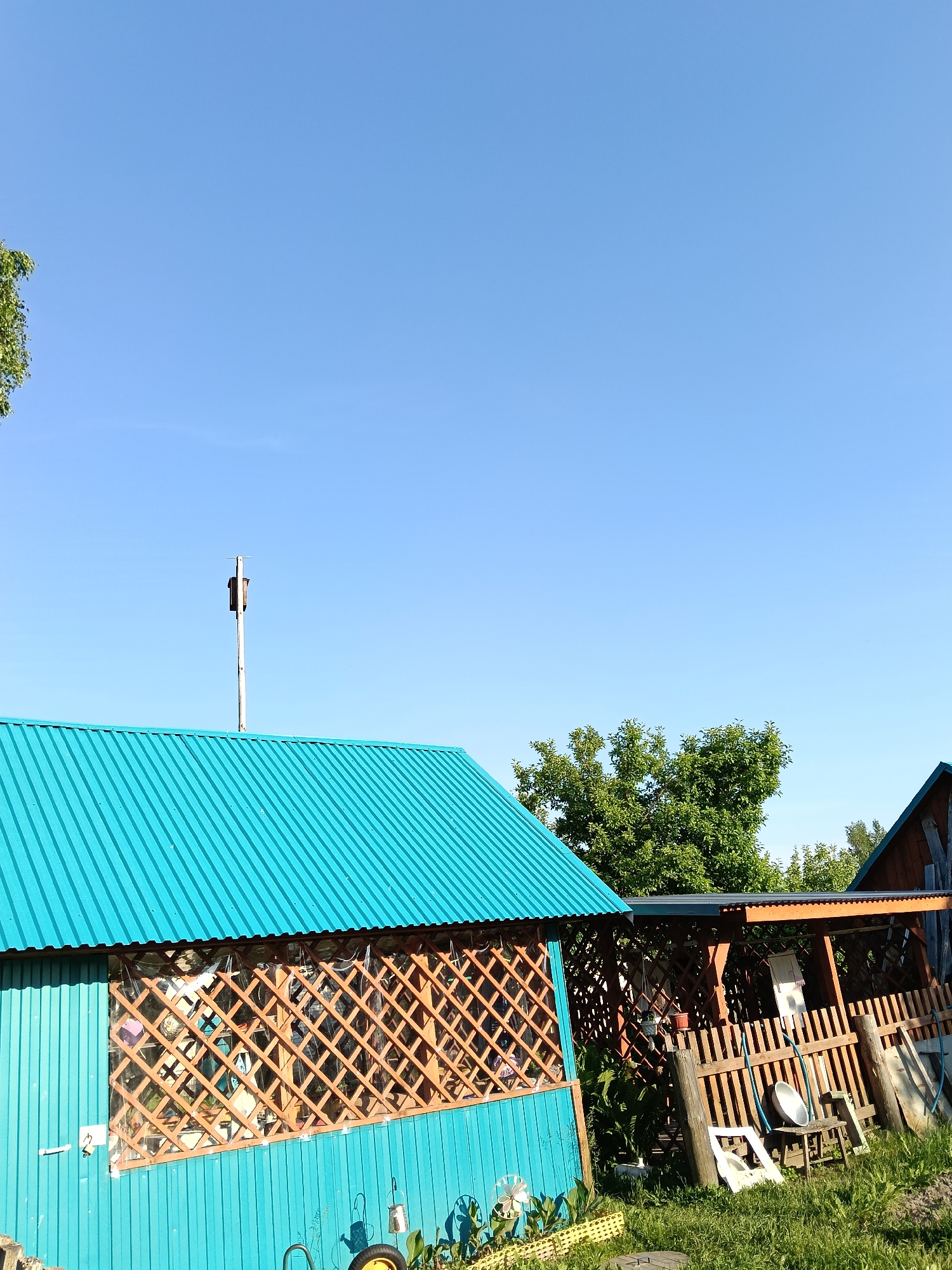 The image depicts a backyard scene under a clear blue sky. In the foreground, a bright turquoise building with a corrugated metal roof is visible, featuring a lattice-covered window. To the right, a wooden gazebo with a brown roof and lattice walls is partially visible, with a wooden fence and various garden items, including a small wooden stool and a white plastic object, scattered in the grassy yard. A thin metal pole with a birdhouse stands near the turquoise building. The environment suggests a rural or suburban setting, possibly in the city of Krasny Mayak, Russia, given the context. There are no people present in the image.