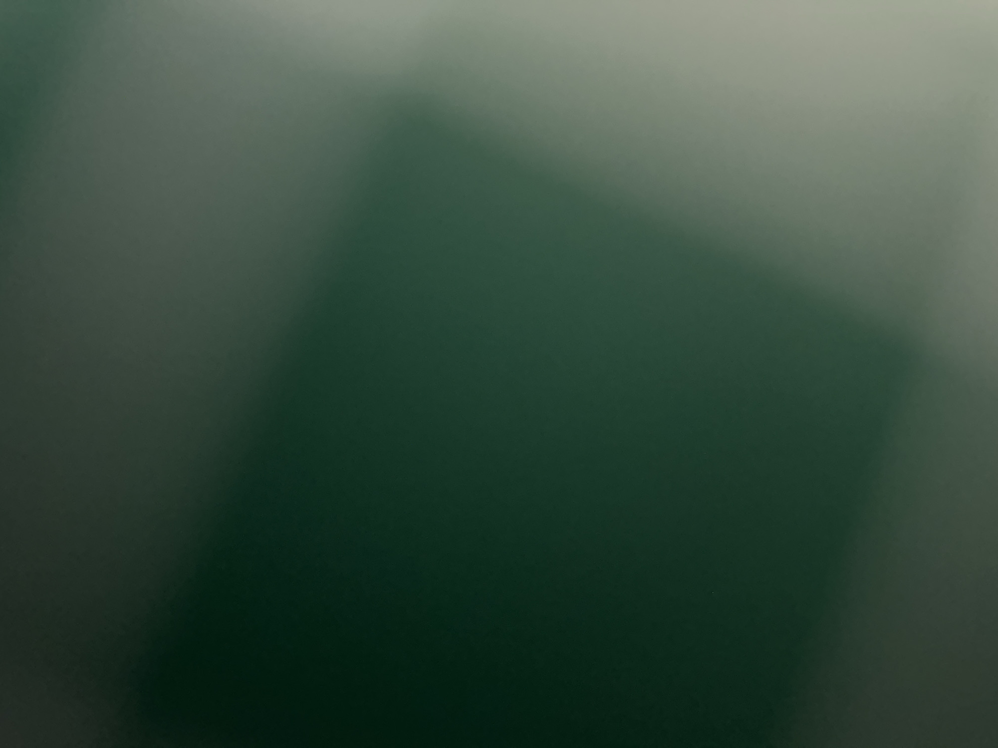 This is a blurry, abstract image with a gradient of dark green to light gray. There are no discernible subjects, objects, or scenes. The image does not depict any activity or event. There are no notable details such as time of day, weather, location cues, or emotions. No text is visible in the image. The colors suggest a natural or muted environment, but without clear forms or context, it is impossible to determine a specific setting or location.