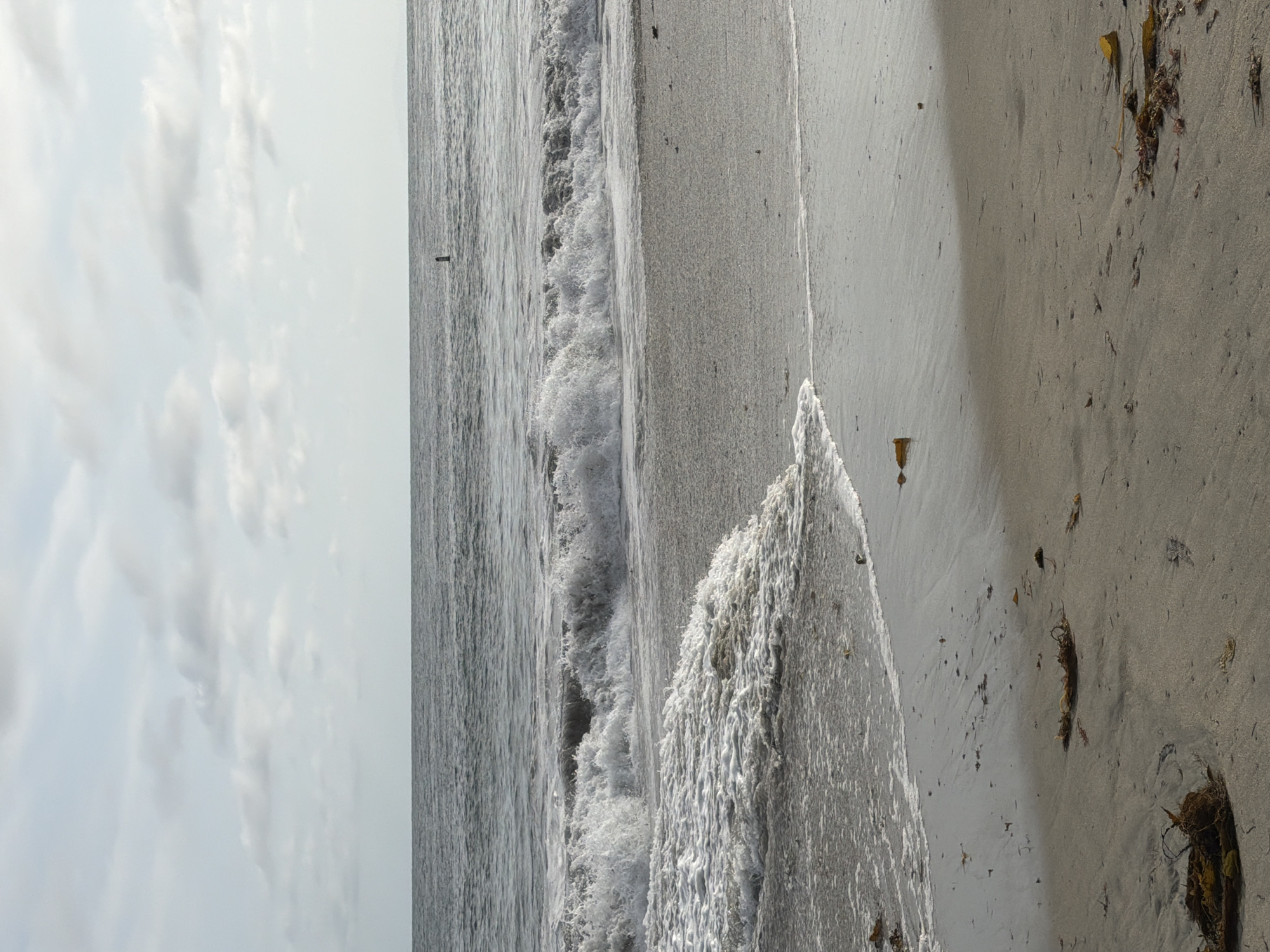 The image depicts a serene beach scene in Laguna Beach, United States of America. A calm ocean stretches to the horizon under a partly cloudy sky. Gentle waves roll onto a sandy shore, leaving a foamy white fringe. Scattered pieces of seaweed lie on the wet sand, indicating the tide is receding. In the distance, a lone buoy bobs on the water. The overall atmosphere is peaceful and natural, with no signs of human activity other than the distant buoy.