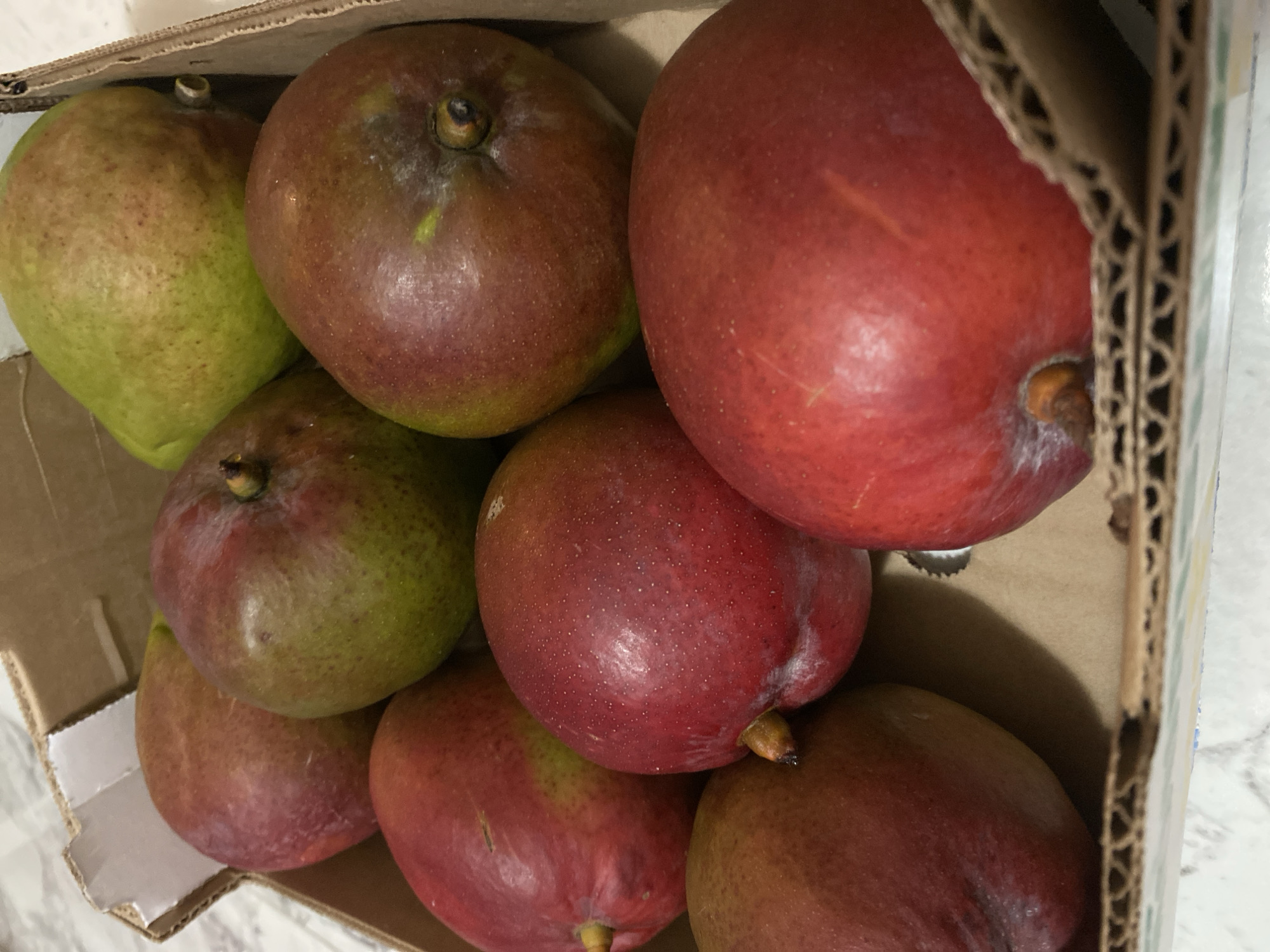 A cardboard box holds several mangoes. Some mangoes are red and some are green. The box is cardboard. The background is a white marble-like surface. This image was taken in Alanya, Turkey.
