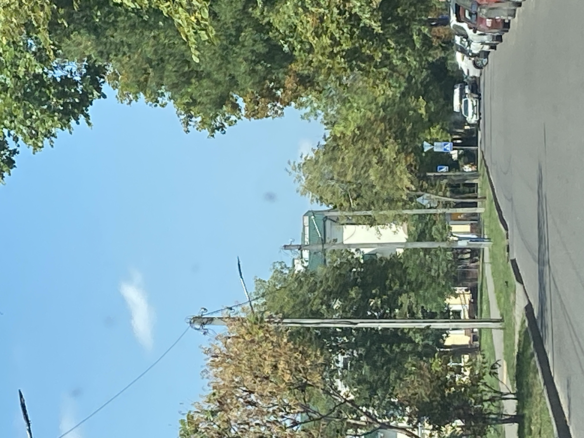 The image shows a street scene in Brest, Belarus on a clear day. A paved road runs through the center, bordered by a sidewalk and grassy areas. Several parked cars are visible along the right side of the road. Trees with green and some autumnal foliage line the street on both sides, with buildings visible in the background. There are streetlights and utility poles present, along with traffic signs. No people are clearly identifiable in the frame, and no specific actions are taking place beyond the presence of parked vehicles.
