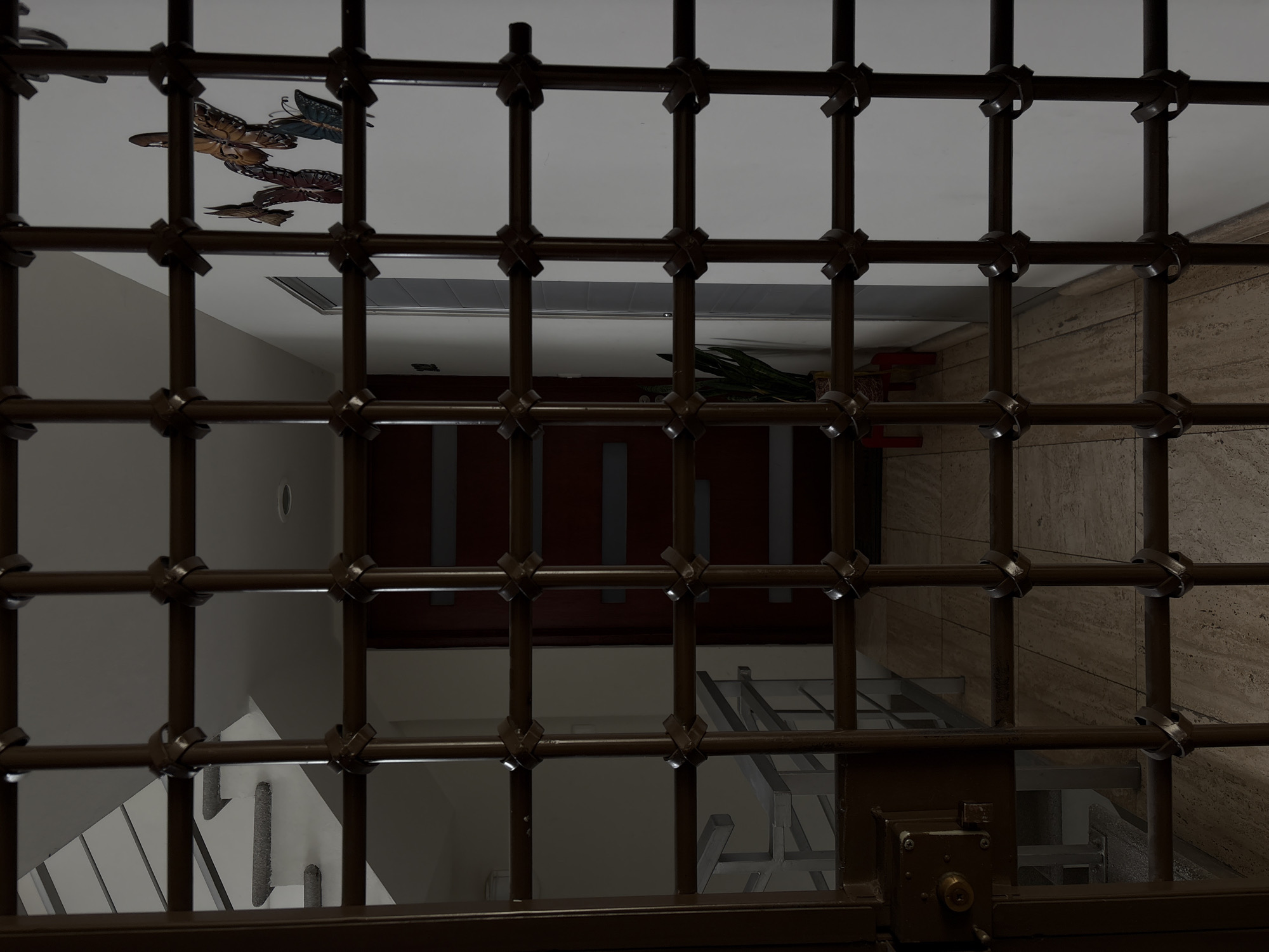 View through a dark brown metal grate into an indoor space. The ceiling is white with butterfly artwork. Below, a landing with a potted plant, and a staircase. The walls are white and beige. The grate has a lock mechanism on the bottom right. Location: Puebla, Mexico.