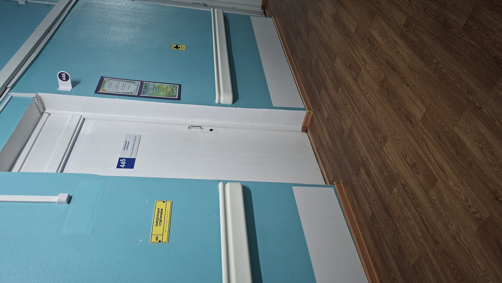 The image displays an indoor hallway or corridor, featuring a white door set into a light blue wall, with a wooden laminate floor on the right. The perspective is tilted, looking down the length of the hall.
The prominent white door is equipped with a simple handle and a small, older-style latch above it. The light blue wall has a subtle texture and is fitted with white protective trims or handrails. The floor is composed of brown, wood-grained laminate panels.
Several signs and pieces of information are visible. On the door itself, a blue sign clearly displays the room number "446" and the text "Заведующий отделением" (Head of Department), along with the name "Наталья Гавриловна Быкова" (Natalia Gavrilovna Bykova). To the left of the door, a small white freestanding sign also shows the number "446". Below the door, on the blue wall, a yellow sign reiterates "ЗАВЕДУЮЩАЯ ОТДЕЛЕНИЕМ" (Head of Department, feminine form) and "446", with additional smaller text underneath, likely providing operational details. Above the door, two framed documents or certificates are hung. Further up the wall, a small yellow square sign with a black downward arrow is affixed.
No people are present, and no specific activity is taking place. The scene suggests a static interior of a public or institutional building, such as a hospital or clinic. The visible text is in Russian, consistent with the location context of Chaikovsky, Russia. The lighting appears uniform, offering no cues about the time of day or external weather.