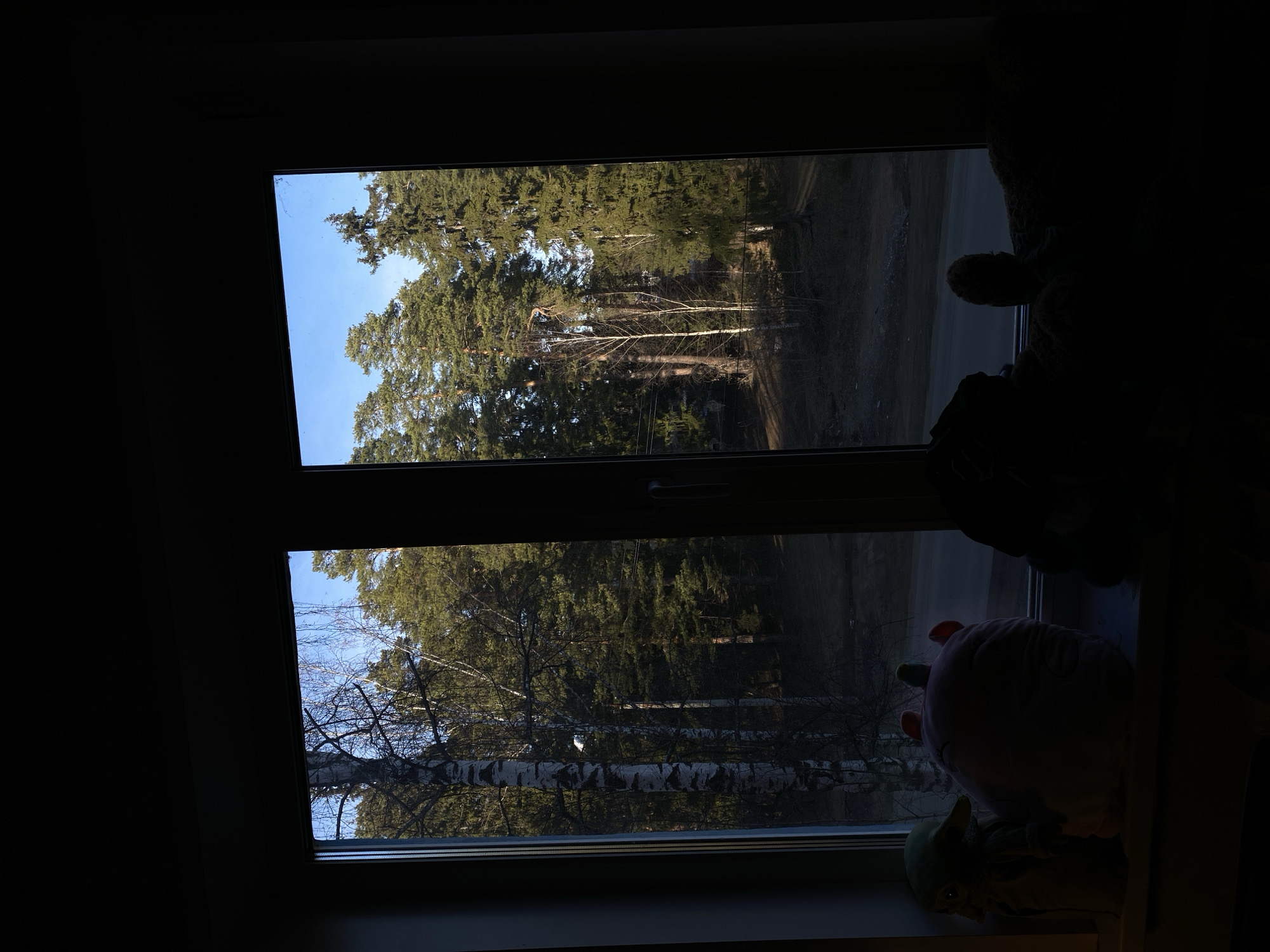 A view through a double-paned window, likely in Votkinsk, Russia, reveals a forest. The window is split into two panes, offering similar views: coniferous and birch trees under a partly clear sky. An adjacent windowsill, visible to the right, is dimly lit and cluttered with stuffed animals. The room itself is dark, implying nighttime or low light conditions.