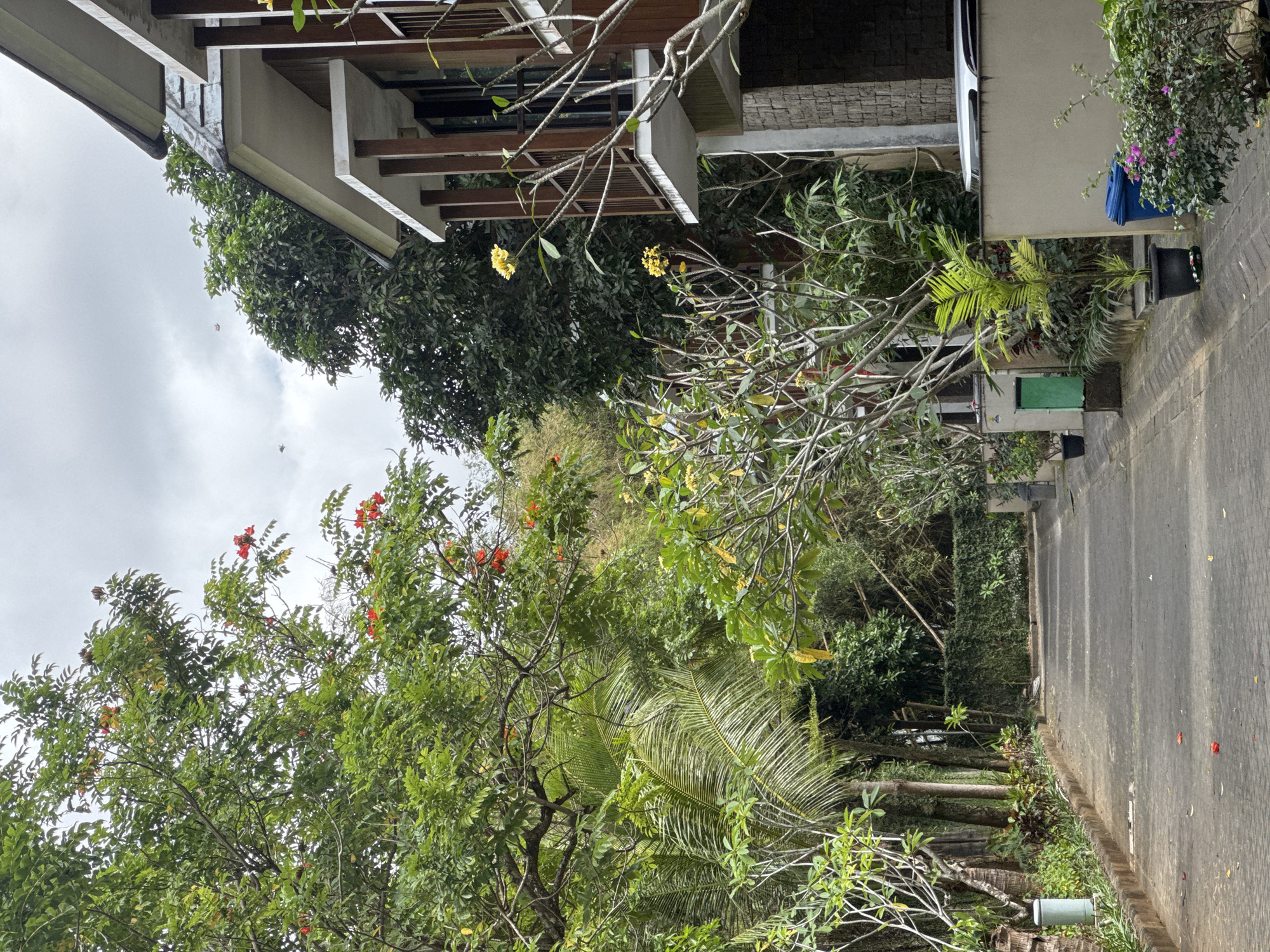 The image depicts a paved pathway leading through a lush, tropical environment with a modern building on the right side. The pathway is bordered by dense greenery, including palm trees and various flowering plants with red and yellow blossoms. On the right, a multi-story building with a dark roof and wooden accents is visible. The building features balconies with railings. Several trash bins are placed along the pathway. The sky is overcast. The scene is likely located in a resort or residential area in Kuta Selatan, Indonesia, given the vegetation and architectural style. There are no people visible in the image.