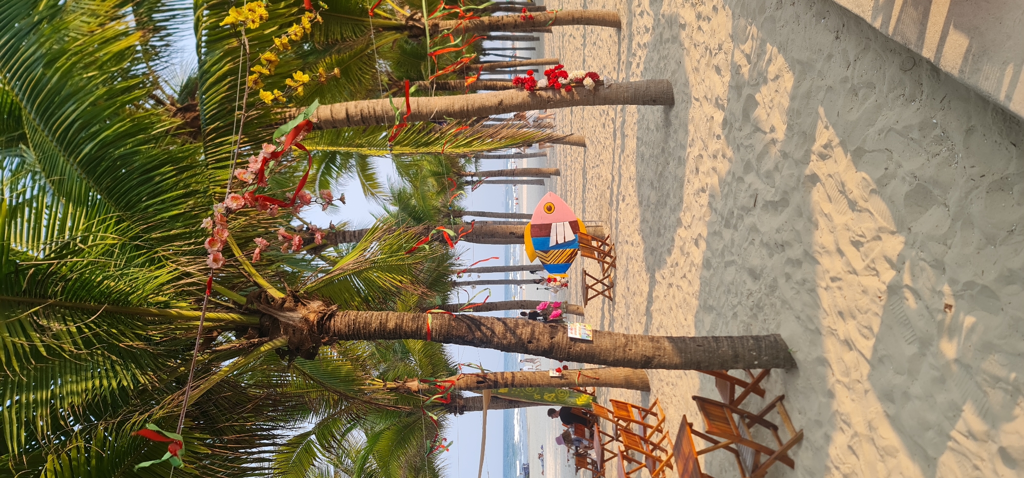 This landscape-oriented image captures a festive beach scene in Đà Nẵng, Vietnam, bathed in the warm light of what appears to be late afternoon or early morning. A row of tall palm trees with lush green fronds lines the sandy beach, extending from the foreground towards the distant ocean.
The palm tree trunks are adorned with colorful decorations. Red and green ribbons or streamers are tied around the trunks and hang gracefully. Strands of artificial flowers, including delicate pink cherry blossoms, bright yellow blossoms, and clusters of red flowers, are draped across the fronds and trunks, adding a vibrant touch.
On the light-colored sand, several wooden folding chairs and small tables are arranged, suggesting an outdoor dining or relaxation area. Prominently featured in the mid-ground is a colorful, stylized fish sculpture or sign, with a pink head, blue and yellow body, and white accents, positioned next to one of the tables. The sand shows numerous footprints and distinct, elongated shadows cast by the palm trees and other objects, indicating a low sun angle.
In the background, the calm blue water of the ocean is visible, with the coastline stretching into the distance. Several indistinct figures of people can be seen near the water's edge or seated at the tables, enjoying the beach environment. The clear sky and decorations create a festive and inviting atmosphere. There is no discernible text visible in the image.