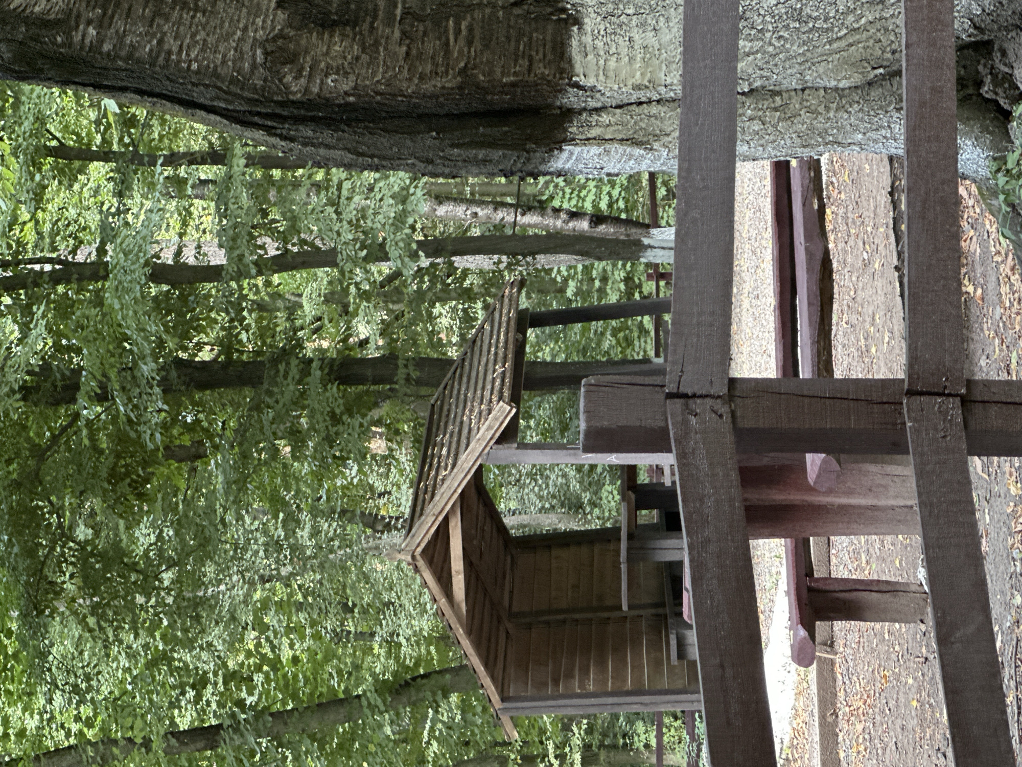 In Shatava, Ukraine, a rustic wooden gazebo with a shingled roof shelters a picnic table and benches within a forest setting. A rough-hewn wooden fence, partially obscured by a large tree trunk, encloses the area. The ground is covered with fallen leaves and gravel. The image captures a tranquil, natural environment.