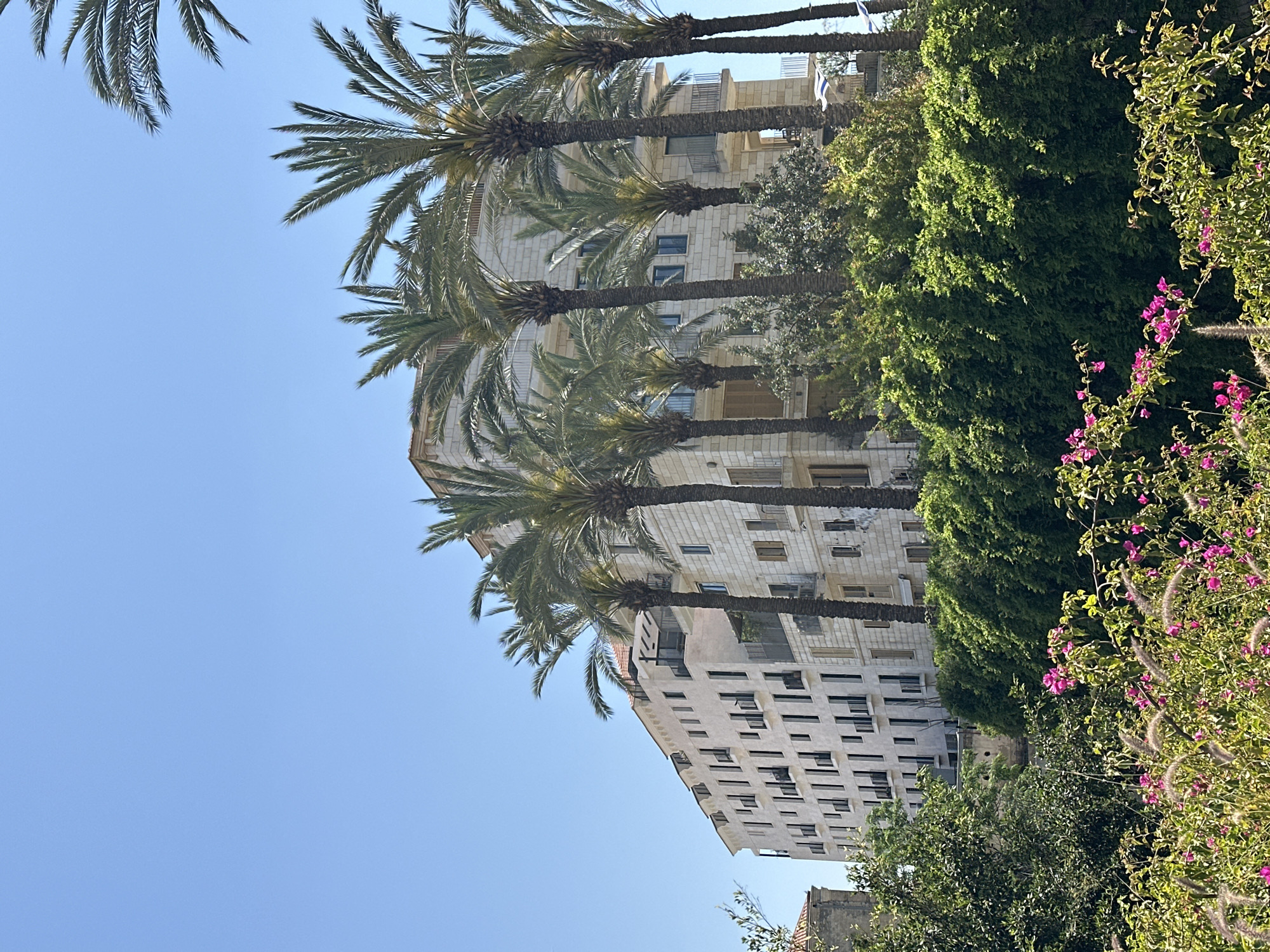A vibrant outdoor scene captures an urban landscape under a clear, bright blue sky, indicative of a sunny day. The dominant features include several tall palm trees with lush green fronds, standing prominently in the midground. Their textured trunks are vertically aligned against a multi-story building situated in the background.
The building, constructed from light-colored stone or stucco, appears to be a modern apartment complex or hotel, featuring numerous windows and balconies. A subtle detail, visible upon closer inspection in the hints, suggests the presence of Israeli flags near the top of the building, confirming the location context of Tel-Aviv, Israel.
To the right side of the frame, a dense expanse of rich green foliage provides a natural contrast to the urban architecture. This greenery is adorned with clusters of vibrant pink bougainvillea flowers, adding a splash of color to the scene. Additional green shrubs and trees are visible in various layers, enhancing the lushness of the environment.
The overall impression is one of a bright, warm day in a Mediterranean city. There are no people or visible text in the image.