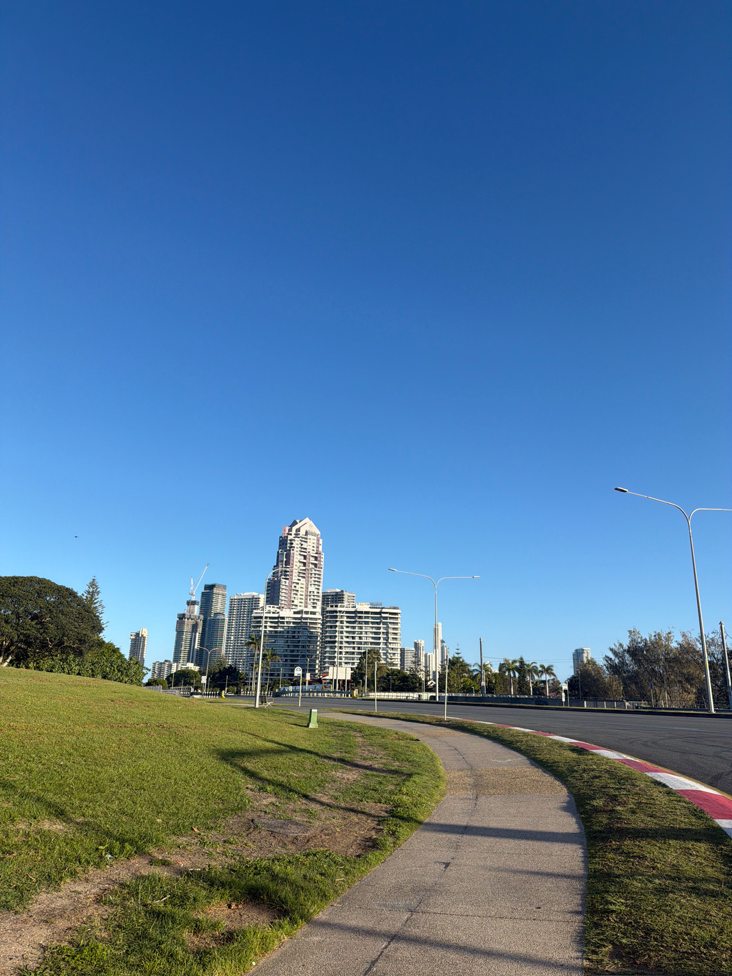 A low-angle, eye-level, full shot captures a paved pathway curving to the right in the foreground. The pathway is bordered by a grassy hill on the left and a road with a red and white striped curb on the right. In the middle ground, a cluster of modern high-rise buildings dominates the skyline, with one building exhibiting a unique tiered roof structure. To the left, a large, leafy tree stands out against the clear blue sky. Streetlights are visible along the road in the middle ground and distance, interspersed with palm trees and other vegetation. The overall scene suggests a sunny day in a coastal urban environment, likely Main Beach, Australia, given the distinctive architecture. No people are visible in the frame.