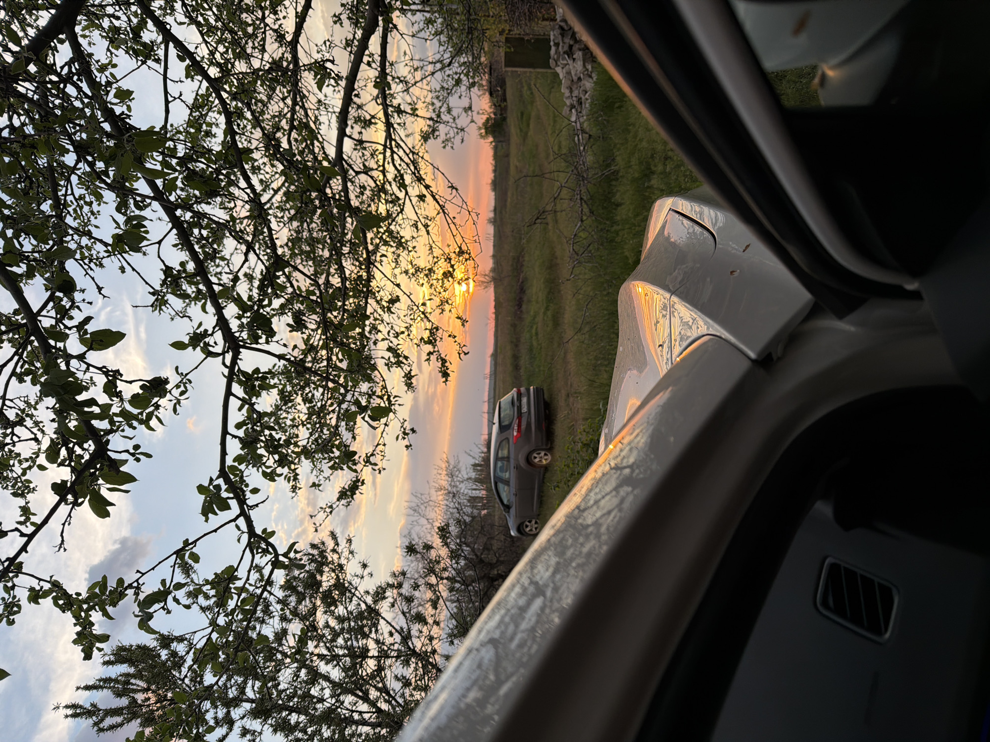 The image depicts a view from inside a car, likely taken in a rural or semi-rural area near Kamyshin, Russia, during a sunset.
The scene includes:
* **Environment:** A field or meadow stretches towards the horizon, with a stone wall visible in the distance. The sunset creates a warm, orange glow. Trees are present on both sides of the frame, with a notable tree branch with green leaves visible on the left side.
* **Objects:** Another car is parked in the field, facing away from the camera car. The car's body (hood and door) are visible and in focus on the right side of the shot, with parts of the interior visible.
* **Lighting:** The sunset casts long shadows and highlights the car's body, and the sky is filled with hues of orange, pink, and blue.