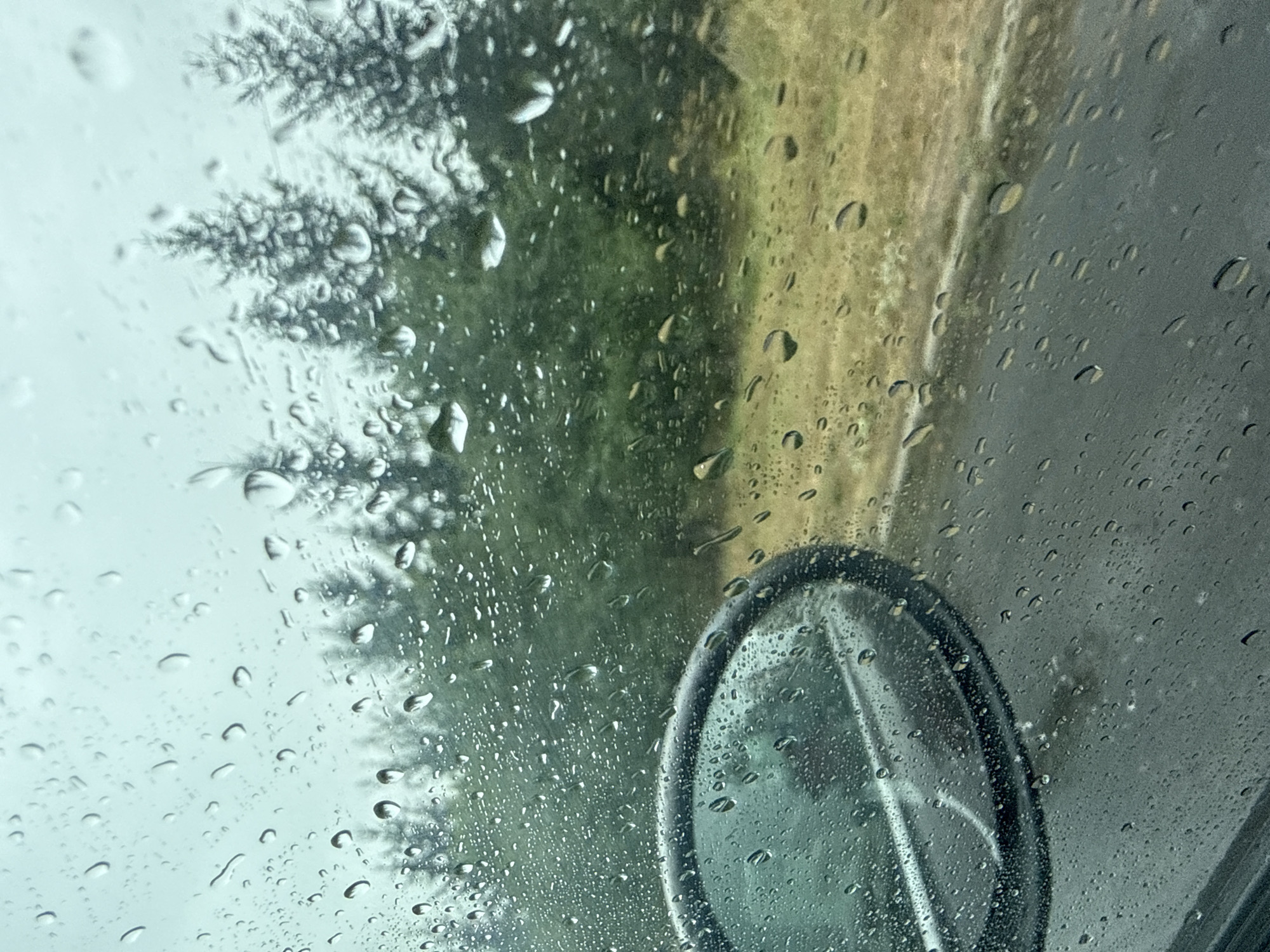 The image, taken from inside a vehicle, captures a scene through a rain-streaked windshield. Water droplets of various sizes distort the view of the exterior, which features a line of evergreen trees on a slightly elevated embankment. A side-view mirror, with reflections of the interior and possibly the road, is visible in the lower left quadrant. The road surface is dark and wet, with a lighter, grassy shoulder to the right of the trees. The overall lighting suggests an overcast sky. The location is identified as Unknown, Unknown.