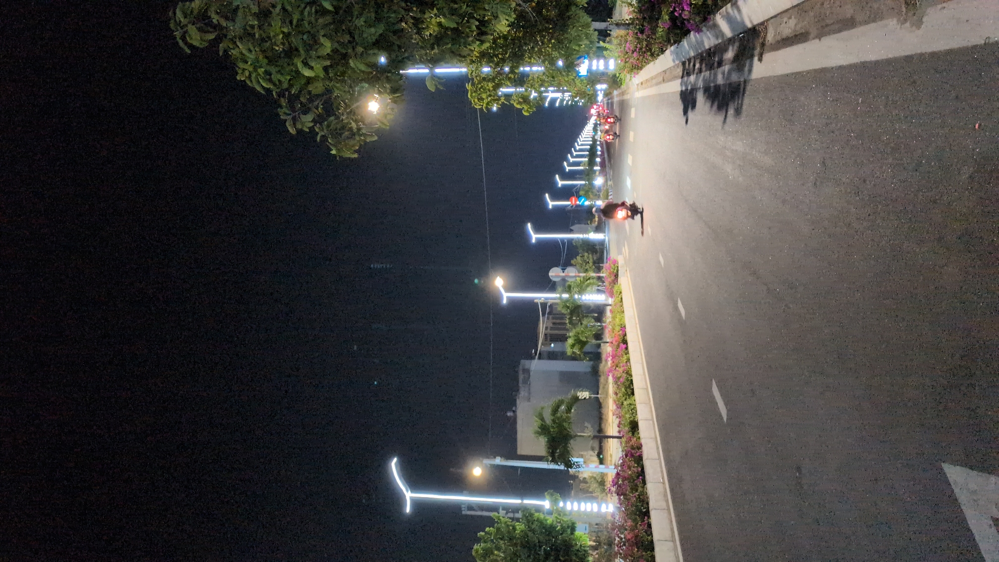Night view of a city road in Phan Rang – Tháp Chàm, Vietnam. A black asphalt road stretches into the distance, lined with decorative street lights, and planted with trees and flowers on the side. A motorcycle with its lights on is riding on the road. A line of buildings are visible in the background, illuminated by the street lights. The sky is dark, and there is greenery at the top and bottom of the frame.