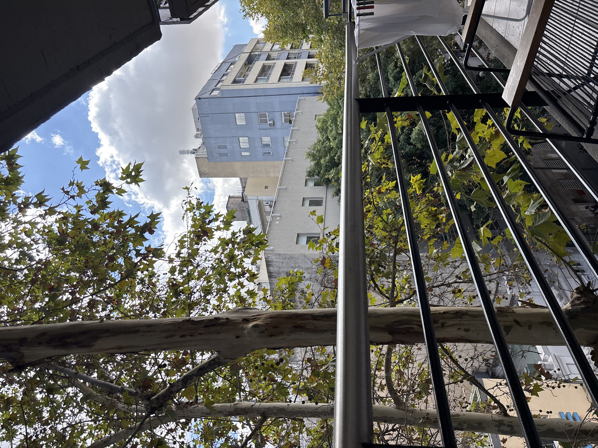 The image captures an urban scene in Buenos Aires, Argentina, likely viewed from a high vantage point like a balcony. The sky is partially visible with light blue and white clouds. A tall building with a blue and white facade is in the mid-ground. A tree with broad branches and green leaves partially obscures the view. A metal railing and support beam of the balcony are in the foreground.