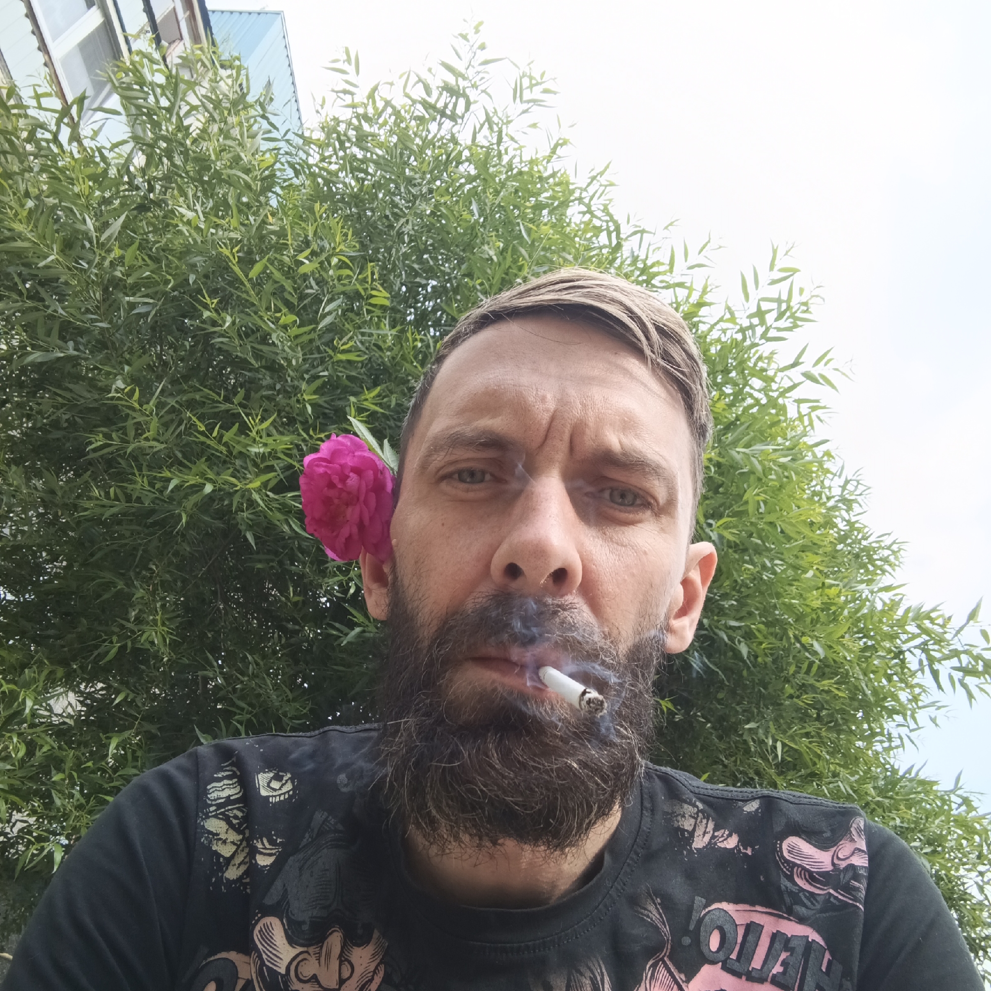 A man with a beard and a pink flower tucked behind his left ear is smoking a cigarette. He is wearing a black t-shirt with a graphic print. The man is in an outdoor setting with lush green foliage behind him. The background also shows a portion of a building with a blue roof and a window, suggesting an urban or suburban environment. The sky is visible and appears overcast or bright. The image is taken from a low angle, looking up at the man.