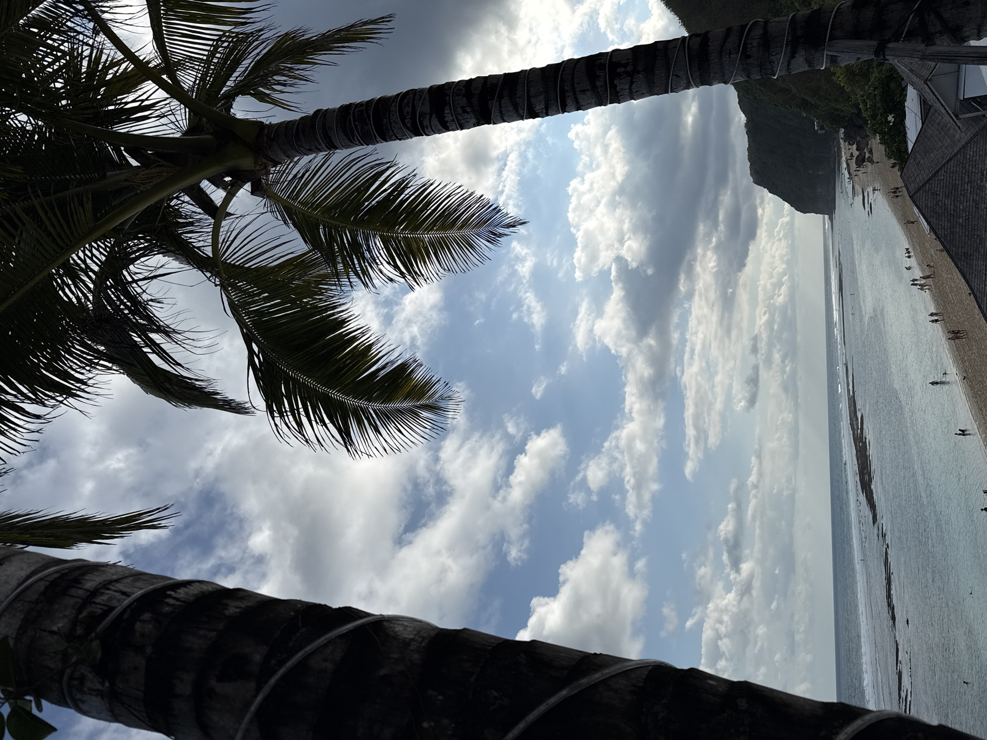 This media file presents a scenic tropical beach landscape, likely viewed from beneath palm trees in Kuta Selatan, Indonesia. The image is framed by two dark, textured palm tree trunks on the left and right sides, with their distinctive fronds silhouetted against the sky at the top.
The sky is a prominent feature, displaying a mix of bright blue patches interspersed with fluffy white and grey cumulus clouds. This suggests a daytime setting, possibly late morning or early afternoon, with bright but somewhat diffused natural light.
Below the horizon line, a wide sandy beach extends along the coastline. Several small figures of people are visible on the beach and in the shallow waters, engaged in typical beach activities such as walking, swimming, or lounging. The ocean appears calm, with gentle waves lapping the shore. Darker areas within the water might indicate reefs or submerged rock formations.
In the background, on the right side of the beach, a large, verdant cliff or hill rises dramatically, covered in lush tropical vegetation. A building with a dark, pitched roof is partially visible in the bottom right corner, situated near the beach and possibly part of a resort or local establishment. No visible text is present in the image. The scene evokes a tranquil and picturesque tropical environment.