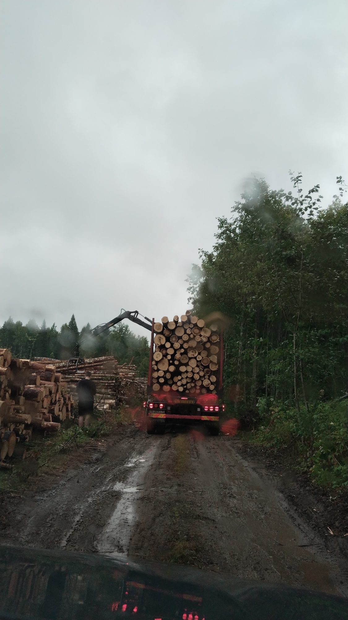 A logging truck, heavily laden with freshly cut logs, is positioned on a muddy, wet dirt road. The truck's brake lights are illuminated, casting a red glow on the road. In the background, a logging machine with an articulated arm is in operation, presumably loading more logs. To the left of the road, piles of cut logs are stacked. A lone individual, seen from the back, is standing near the stacks of logs. The surrounding environment is a forest with dense trees and an overcast, possibly rainy sky, with water droplets visible on the camera lens, suggesting a damp atmosphere. The scene depicts a logging operation in progress.