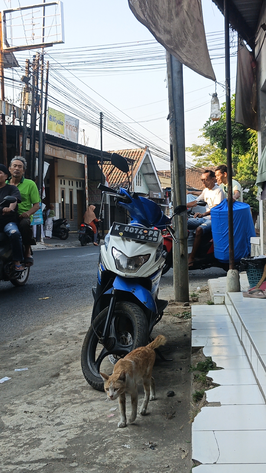 In Dawe, Indonesia, a ginger cat walks on a dusty sidewalk near a blue and white scooter parked on the street. The cat is in the foreground, facing left with its tail raised. Behind the cat, the scooter displays a license plate with the characters "K 6074 PR". Two men are seated on another motorcycle in the background, with a blue tarp covering part of their vehicle. A third person, wearing a green shirt, is seated on the back of a different motorcycle to the left. The street scene is lined with buildings, and power lines crisscross the sky. In the distance, a sign with "Miyako Rinnai" is visible. The overall environment appears to be a residential or commercial street in Indonesia.