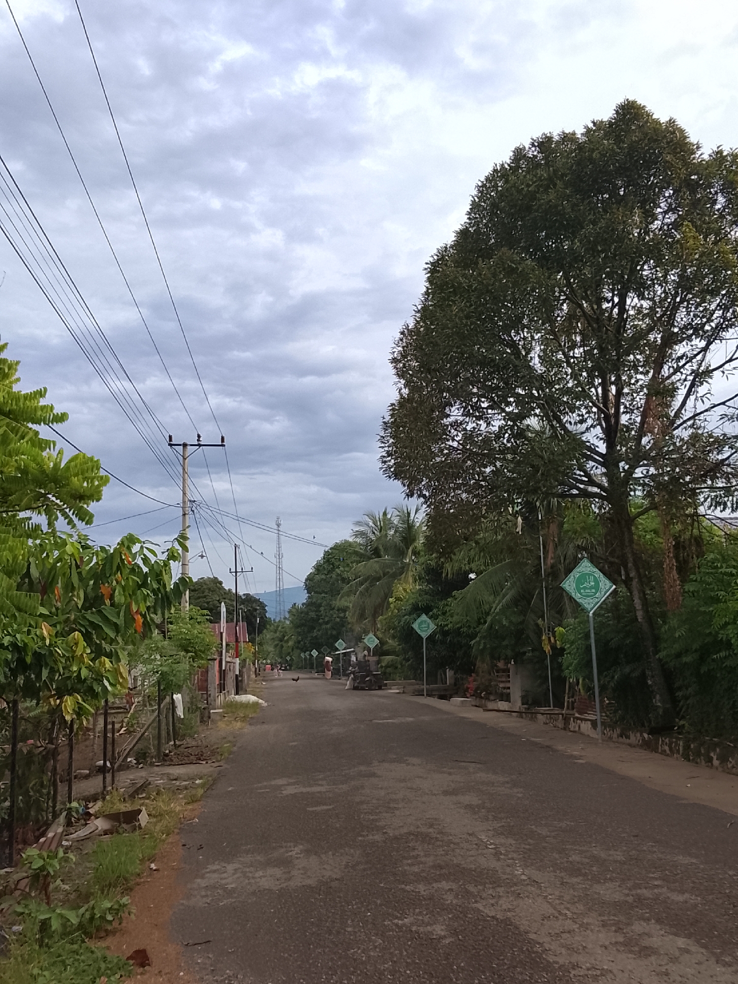 A rural road runs through a cloudy, overcast scene in Seunong, Indonesia. On the left, a fence lines a path with green trees. Utility poles with numerous wires are visible. On the right, a large tree dominates the scene, with a green diamond-shaped sign featuring Arabic script and a green border. More trees and foliage line the right side of the road, interspersed with buildings. The road itself is asphalt, with some debris and growth along its edges. Several more diamond-shaped signs with Arabic script are scattered along the right side of the road. The sky is filled with gray, cloudy formations.