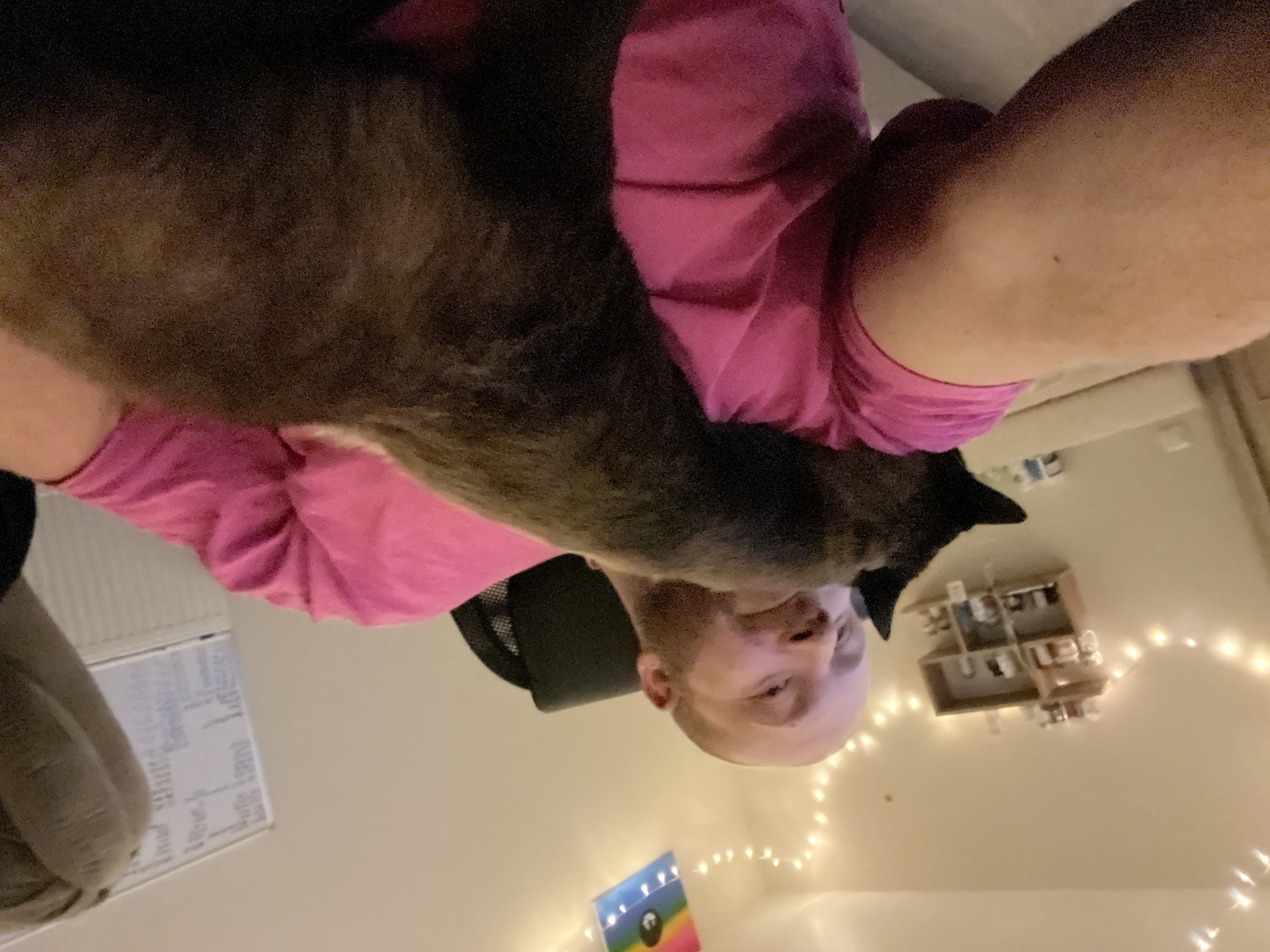 A man in a pink shirt is holding a dog. The room is lit with string lights. There is a shelf with various items on the wall. There is a painting on the wall. The location in the city of Noviy, Russia is unknown.