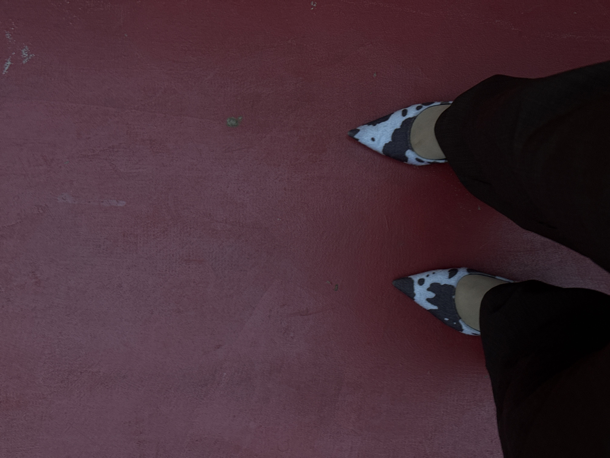 A downward-facing medium shot shows a person wearing black pants and cow-print high-heeled shoes, standing on a dark red surface. The person's feet are pointed slightly outward, and the trousers cover part of the shoes. The red surface is textured. No other information is discernible. The location is not identifiable.