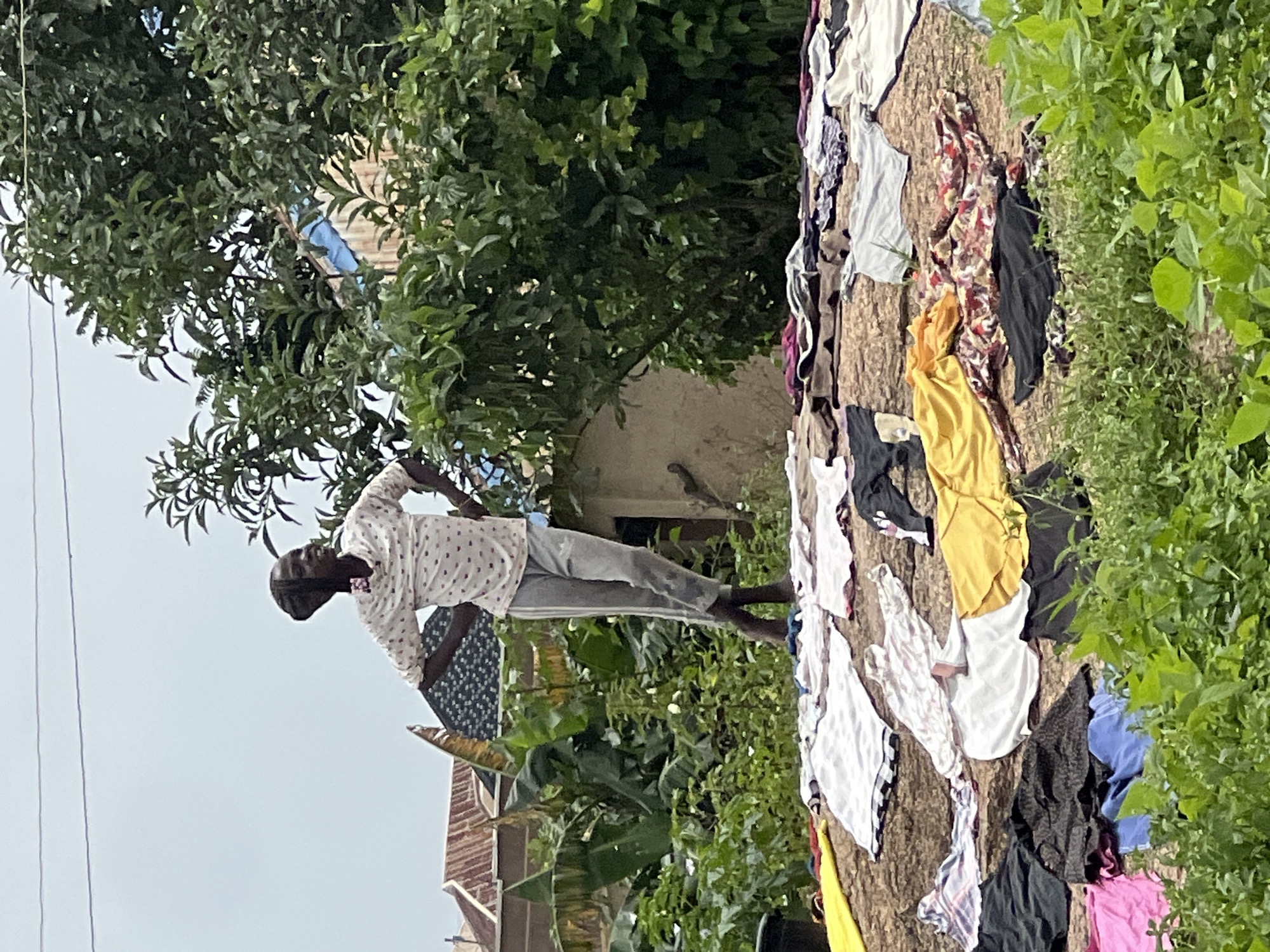 A person stands on a large rock, with laundry spread out on the rock below. The person, wearing a patterned shirt and grey pants, has their hands on their hips and is looking to the left. Behind the person, lush green vegetation and trees are visible, with buildings in the background. The scene appears to be outdoors in a rural or semi-urban area, possibly in Dong, Nigeria, given the context provided. The sky is overcast.