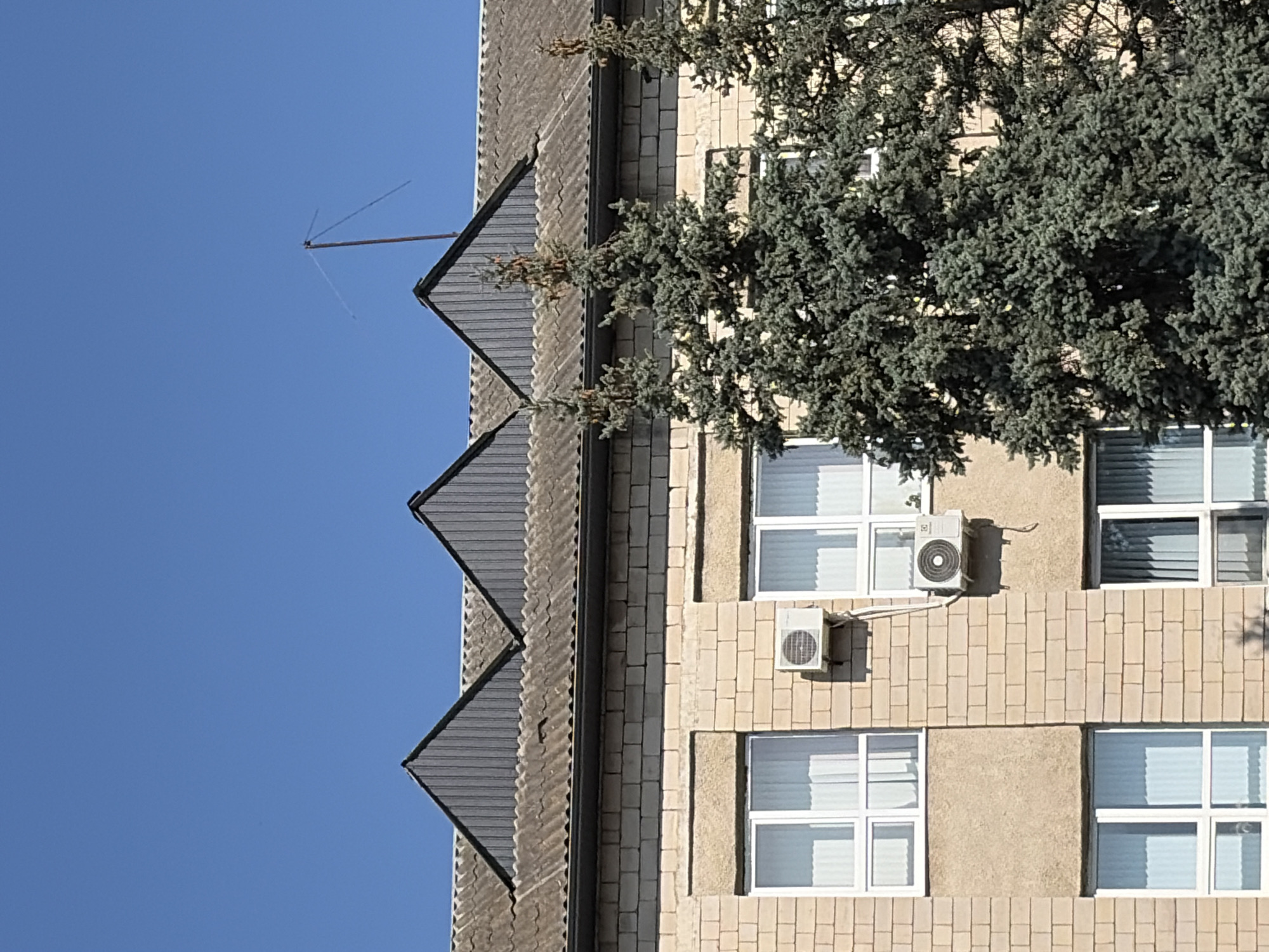 The image shows the upper facade of a light brown brick building with a grey corrugated roof. The roof has a series of three triangular gables with vertical ribbed grey siding. A tall, thin antenna with two horizontal elements is mounted on the center gable. Three windows with white frames and white blinds are visible on the building's facade. Two outdoor air conditioning units are mounted to the wall below the windows. In the foreground, the tops of several large evergreen trees with dark green needles obscure parts of the building. The sky is a clear, bright blue. The location is identified as Criuleni, Moldova.