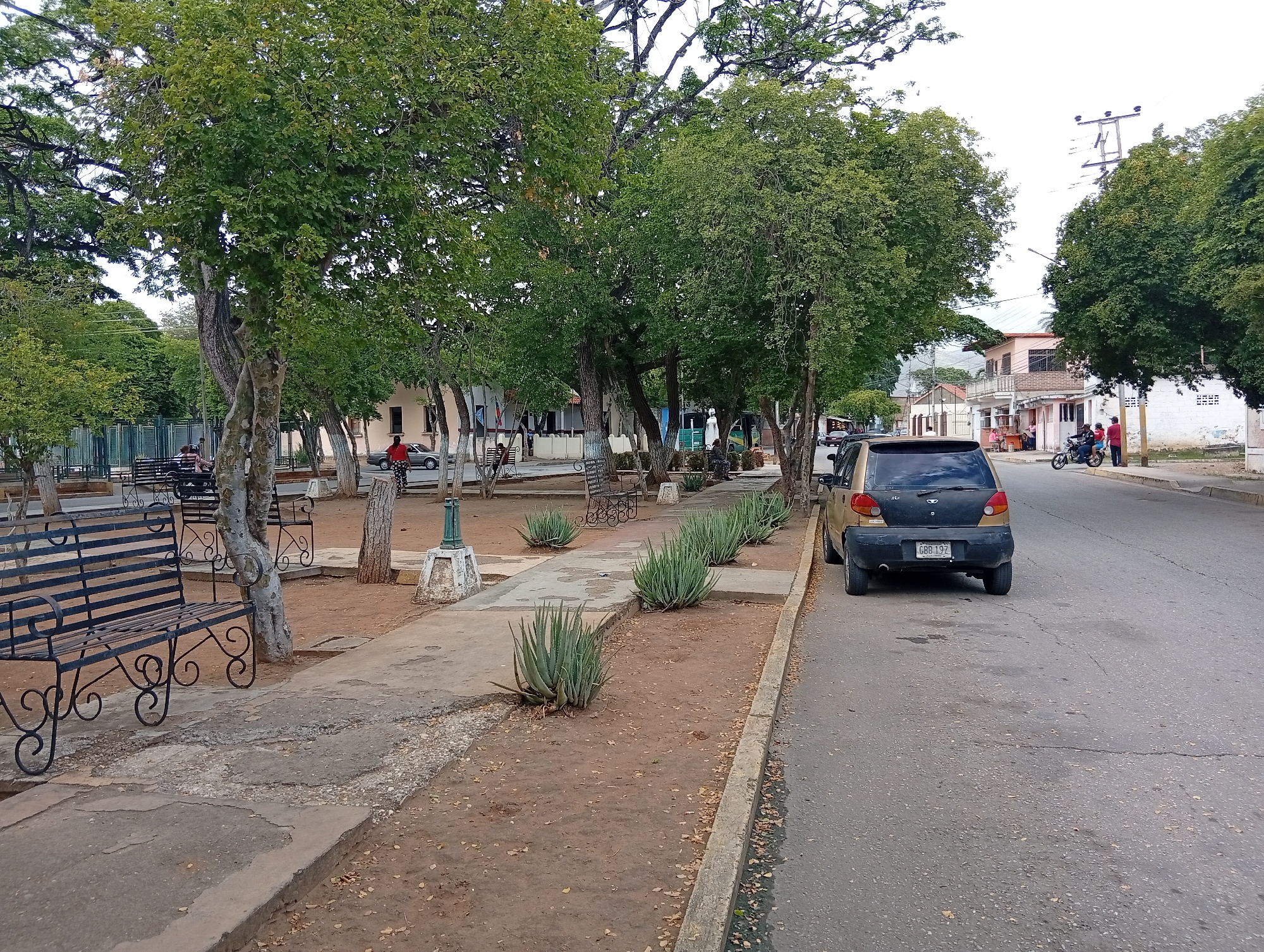 In Juan Griego, Venezuela, this photograph captures a street scene adjacent to a park. A gold and black Daewoo Matiz car, with license plate GBB 19Z, is parked on the right side of the asphalt road. Beyond the car, a sidewalk borders a park area with multiple benches, some occupied by people. Aloe vera plants are visible in garden beds along the sidewalk. Trees line the park and street, casting shadows. In the background, buildings with balconies and a utility pole can be seen. A motorcycle with two riders is also present on the road, heading away from the camera. The ground is a mix of dirt and concrete. The sky is overcast.