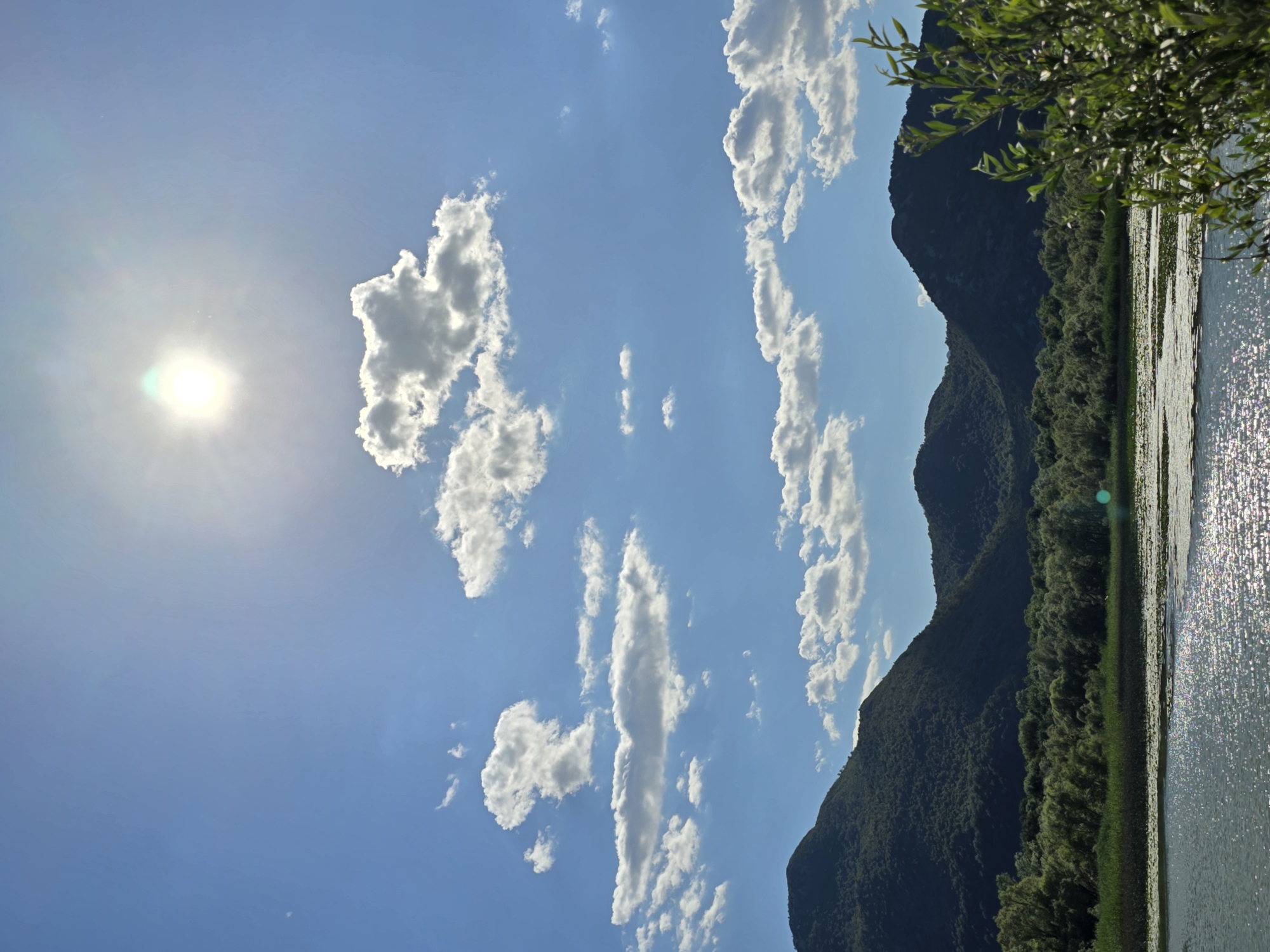 A bright, sunny day scene unfolds in Seoca, Montenegro, with the sun prominently shining in the upper center of the frame, casting a brilliant glow and creating lens flare. The sky is a vibrant blue, dotted with fluffy white clouds scattered across the upper and mid-sections of the image.
Below the sky, a series of rolling, tree-covered hills dominate the middle ground. The hills are a deep green, with visible textures of vegetation. A dense line of trees forms a forest at the base of the hills.
In the foreground, a body of water, likely a lake or river, occupies the lower portion of the image. The water's surface is shimmering with sunlight, creating a pattern of bright reflections. Along the edge of the water, there are patches of aquatic plants, possibly lily pads. To the right side of the frame, a green leafy branch or bush is in the foreground, slightly obscuring the view of the water and the distant landscape.
No people are visible in the image, and no actions or interactions are taking place. The environment is a natural, serene landscape under a clear sky.