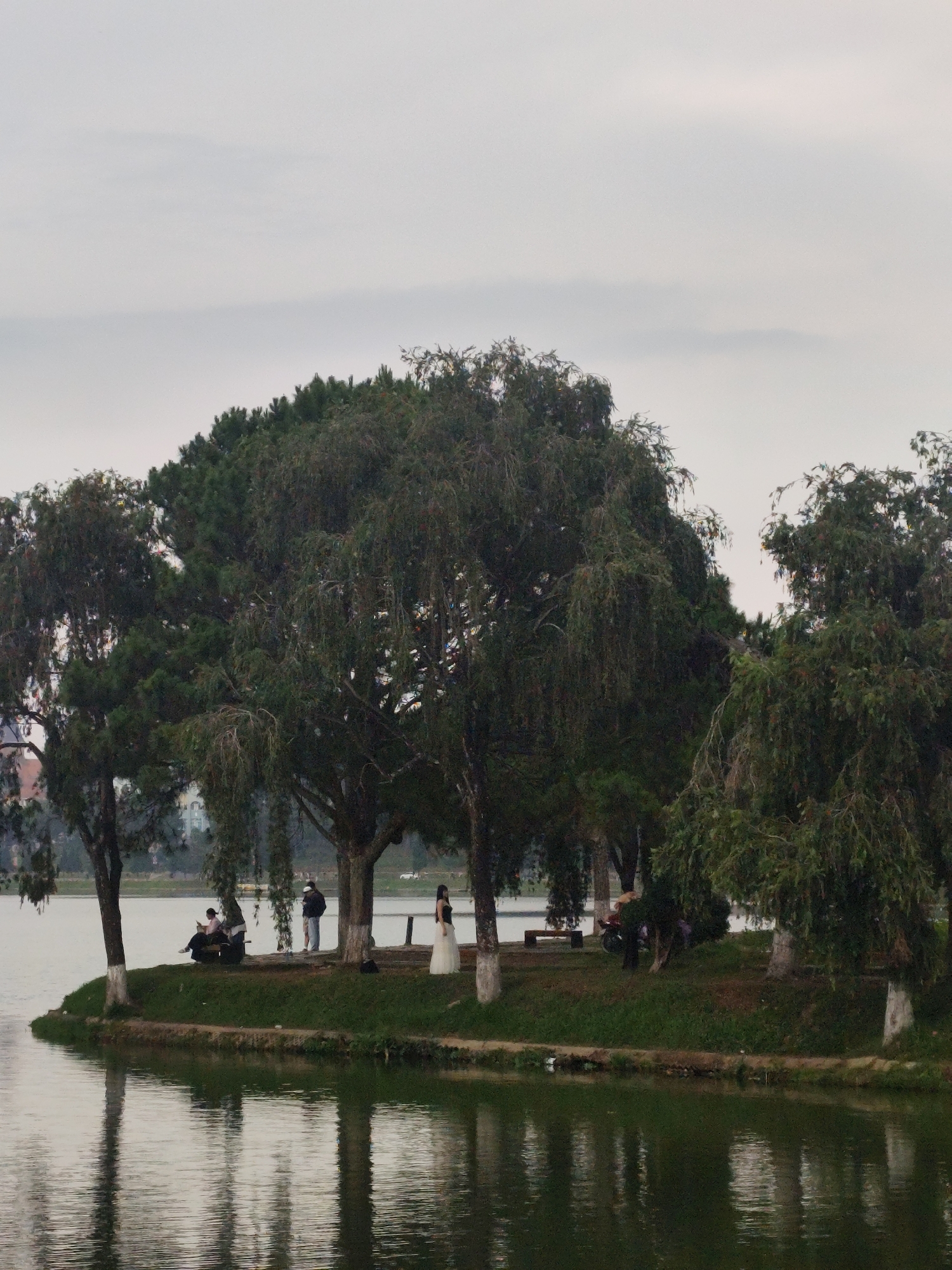 A serene landscape photograph captures a peaceful scene by a lake in Da Lat, Vietnam, under a uniformly overcast sky. The foreground features a small grassy peninsula or island densely covered with numerous tall trees, some appearing coniferous with dark green foliage, and others with more slender trunks and hanging branches. The bases of several tree trunks are marked with white paint.
Several individuals are present on the land. On the left, a person is seated on what appears to be a bench or a scooter, looking down, possibly at a phone or book, with a dark scooter parked nearby. Towards the center, another person stands, facing and observing the water. Further to the right, a person in a long, flowing white dress, resembling a wedding gown or formal attire, stands near a tree, suggesting a possible photoshoot or special occasion. Another individual is partially visible further right, behind the foliage.
The calm surface of the lake reflects the surrounding trees and the muted gray sky, creating a tranquil and mirrored effect, with subtle ripples visible in the water. Across the lake in the background, faint outlines of distant buildings can be seen, indicating the proximity of an urban area. The soft, diffused light suggests an overcast day, contributing to the calm and contemplative atmosphere of the scene. There is no visible text in the image.