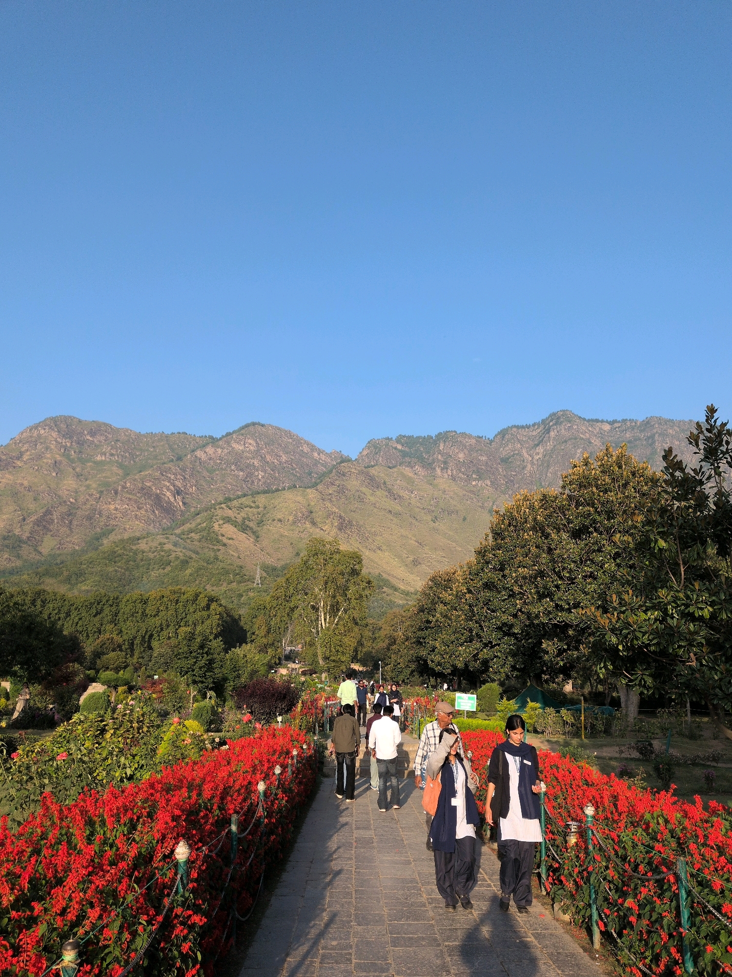 The image depicts a view of the lush greenery and vibrant red flowers at the Indira Gandhi Memorial Tulip Garden in Srinagar, India. The garden, situated in the foothills of the Zabarwan Range, is bathed in sunlight, casting long shadows on the paved walkway. A clear blue sky stretches above the majestic mountains in the background. Several people are seen strolling along the path, enjoying the scenic beauty of the meticulously manicured garden. The vibrant red flowers lining the pathway add a striking contrast to the verdant landscape.