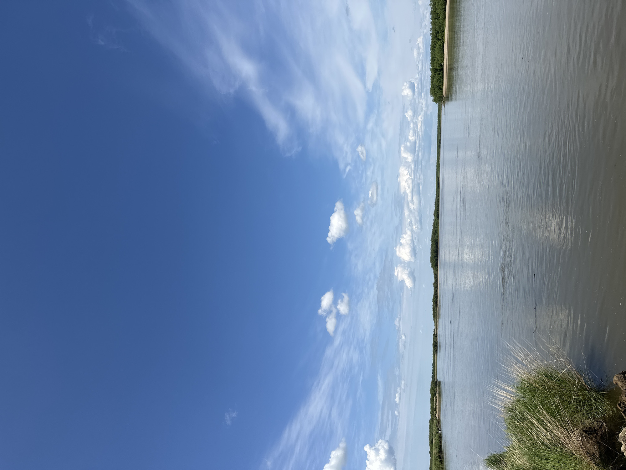 The image depicts a wide, calm river under a bright blue sky dotted with scattered white clouds. Lush green vegetation, including tall grasses, lines the left bank of the river in the foreground. In the distance, the opposite bank is lined with a dense strip of trees, and beyond that, more land with sparse vegetation can be seen. The water appears somewhat murky, reflecting the sky and surrounding greenery. There are no people or animals visible in the scene, and no visible man-made structures apart from possibly a faint object in the far distance on the right. The scene suggests a natural, tranquil environment.