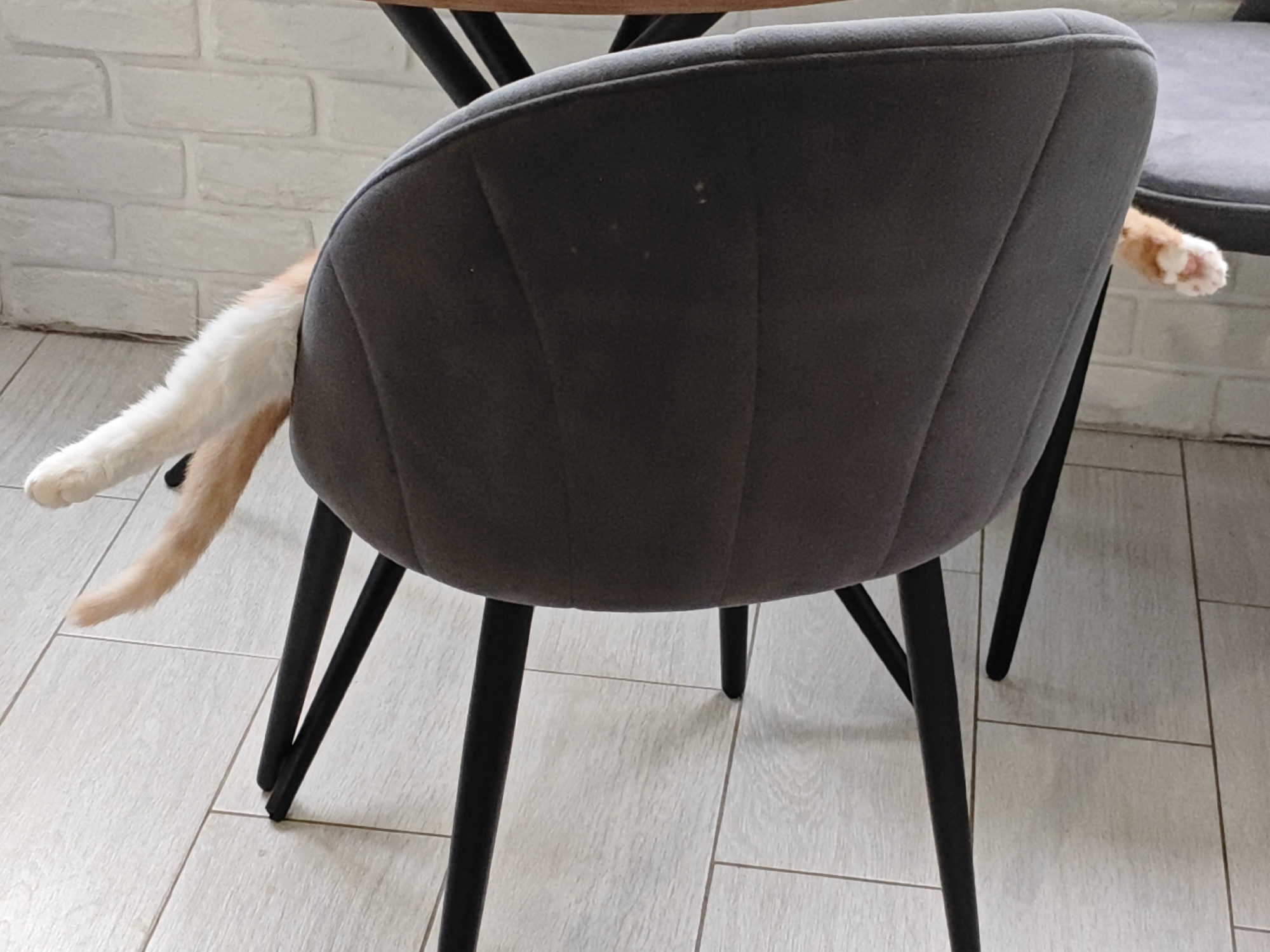 An orange and white cat is partially hidden behind a dark gray upholstered chair with black legs. The cat's tail, a fluffy mix of orange and white, extends out from behind the chair on the left side of the frame. On the right side, a single white paw with pink paw pads is visible, peeking out from behind the chair. The chair is positioned on a tiled floor. In the background, a white brick wall is visible, suggesting the scene is likely indoors, possibly in a residence in Боровский, Russia. The overall impression is one of a pet hiding or resting in a casual, domestic setting.