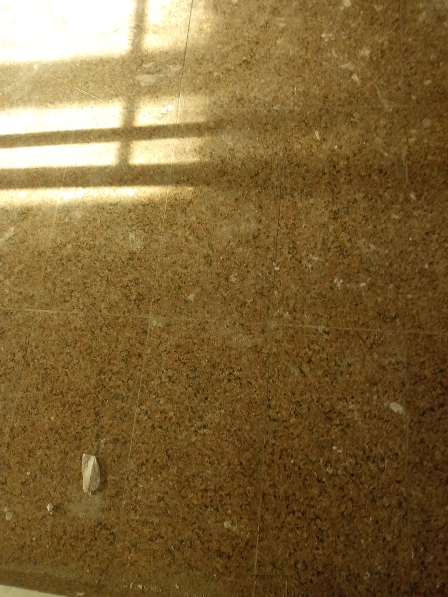 A close-up shot of a tiled floor with a prominent shadow pattern from what appears to be a window or railing. The tiles are a speckled brown and beige granite pattern, laid in a grid. There is a small, light-colored piece of debris in the lower left quadrant of the image. The lighting suggests an indoor environment with natural light streaming in from an opening. The specific location of Hotoro North, Nigeria, is noted.