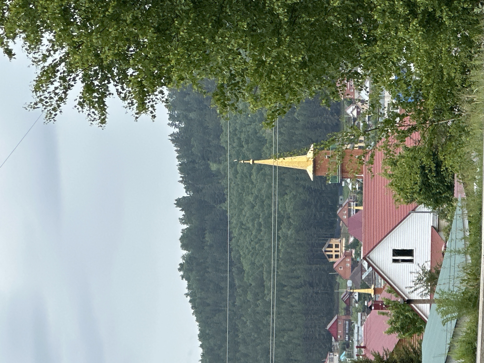 The image captures an expansive view of a village or small town nestled amidst lush, green hills under an overcast sky. In the immediate foreground, dense green foliage from tree branches (possibly birch) overhangs the scene, partially framing it.
The midground features a cluster of houses, characterized by prominent red-tiled roofs and light-colored, often white, facades. A distinctive building with a gleaming golden spire or dome, resembling a church, stands out in the center of the village. Several thin utility lines, possibly power lines, stretch horizontally across the landscape, crossing above the village and against the backdrop of the forest.
In the background, a large, dense forest covers a rolling hillside, appearing dark green and thick. The sky above is uniformly light grey and overcast, indicating a cloudy daytime with no direct sunlight.
No people or animals are visible, and there is no discernible activity taking place. The scene conveys a sense of tranquility and a connection with nature. No visible text is present in the image.