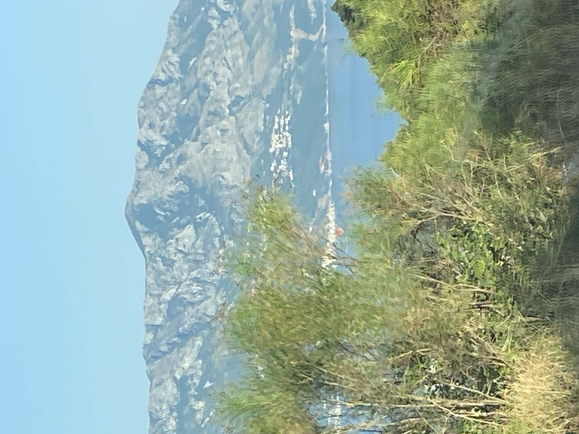 A vertical, eye-level shot captures a serene mountain landscape near Podostrog, Montenegro, on a clear, bright day. The foreground is dominated by lush, green foliage, with feathery branches of trees and tall grasses filling the lower half of the frame. Behind this verdant curtain, a tranquil, blue body of water stretches across the mid-ground, reflecting the clear sky. Further in the distance, a range of rugged, gray mountains rises majestically, their slopes carved with shadows and lighter hues. Nestled on the lower slopes of the mountains, a cluster of white buildings forms a small settlement, adding a touch of human presence to the natural grandeur. The sky above is a vast expanse of soft, pale blue.