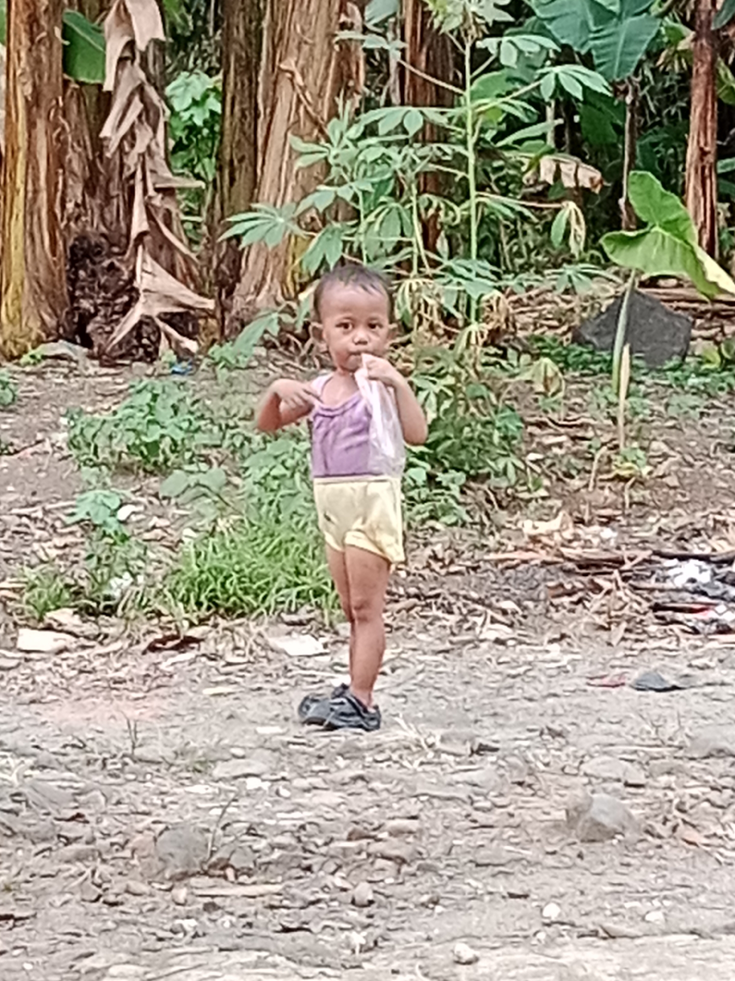 A young child stands in a dirt area in front of dense vegetation, likely in Parage, Indonesia. The child, appearing to be of Indonesian ethnicity, wears a purple tank top and yellow shorts. They are holding a clear plastic bag in their right hand and have their left index finger extended, pointing towards the bag. The background consists of large trees with rough bark, dense green foliage including what appears to be banana trees and cassava plants, and a rocky, dirt ground with scattered debris. The lighting suggests an outdoor daytime scene.