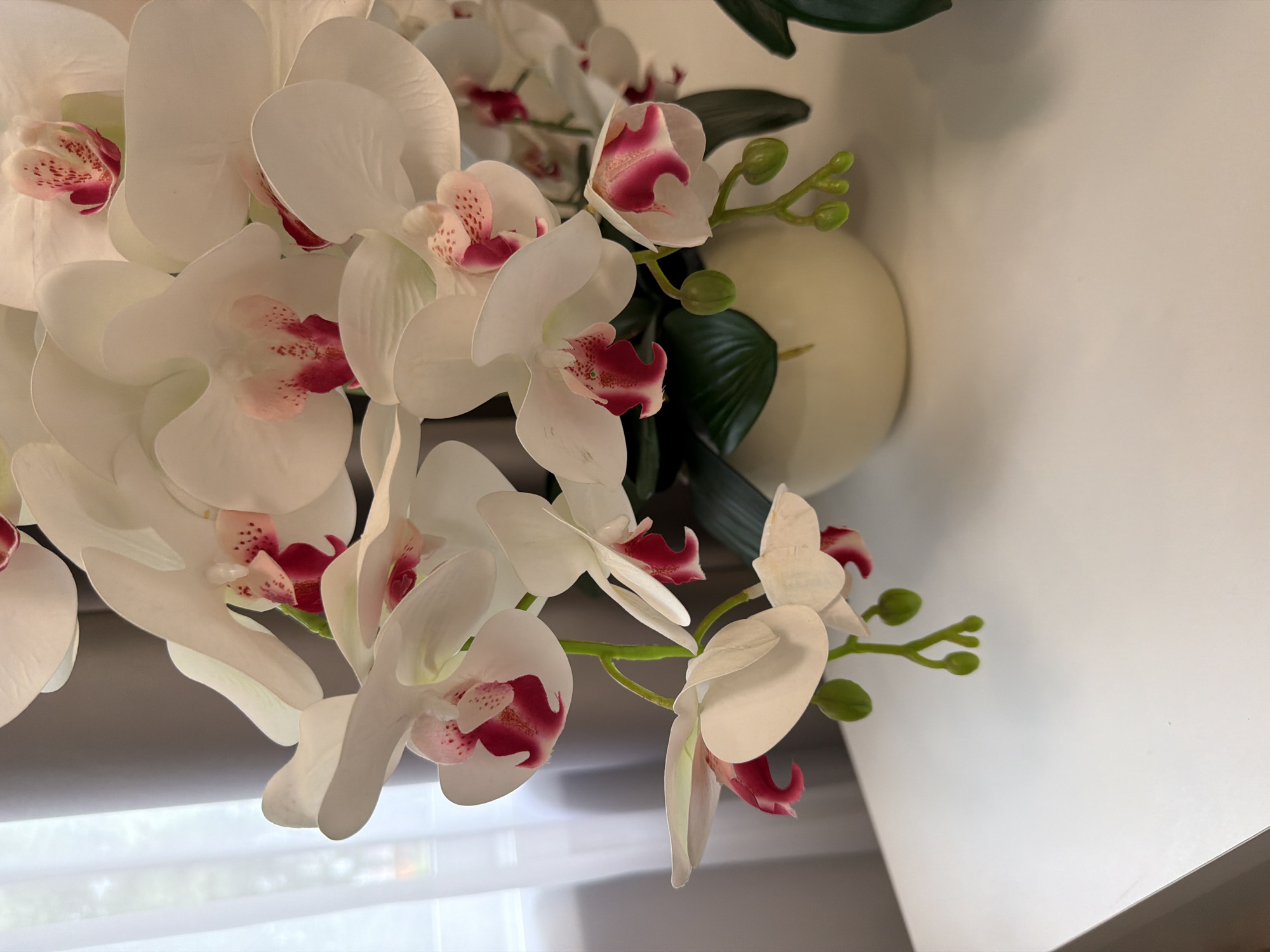 A close-up, indoor, eye-level shot shows a bouquet of white orchids with pink accents in a pale yellow, round pot. The orchids are arranged densely, with some flowers open and others as buds on green stems. The pot sits on a white surface. In the background, a sheer white curtain is visible on the left, and a gray curtain is behind it. The lighting appears to be natural, coming from a window to the left.