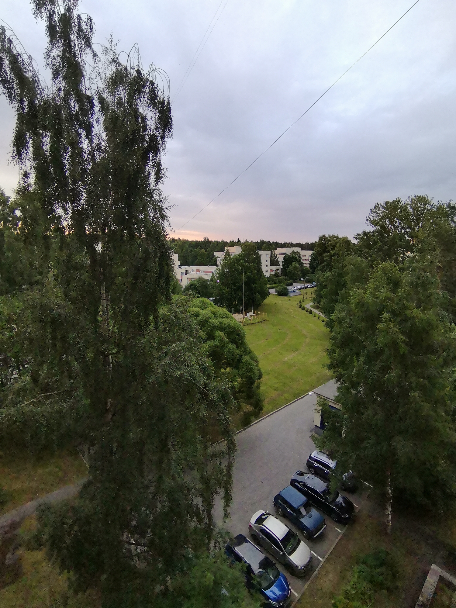 The image captures an outdoor scene in Zelenogorsk, Russia, at what appears to be dusk or dawn due to the overcast sky with a subtle pink hue. In the foreground, a large deciduous tree with dark green foliage dominates the left side of the frame, its branches reaching towards the sky. To the right of the tree, a parking lot is visible, containing several parked cars including a blue hatchback, a silver sedan, a dark blue minivan, a black sedan, and a dark SUV. Beyond the parking lot is a well-maintained grassy area that slopes gently upwards, dotted with several trees. Further in the background, a row of white residential buildings with red-trimmed windows stands amidst more greenery. A thin power line stretches diagonally across the upper portion of the sky.