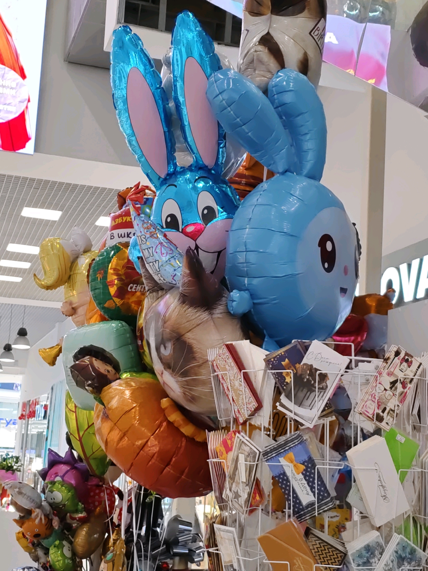 The image shows a display of colorful balloons and greeting cards in a store. Prominently featured are large, blue bunny-shaped balloons with pink ears, and a round blue balloon with a face. There are also other balloons shaped like a carrot, a cat's face, a leaf, and various cartoon characters. A rack of greeting cards is visible in the foreground, with some cards displaying festive designs and text. The background is blurred, but appears to be a retail environment with lighting fixtures and signage. The text on some balloons and cards is in Cyrillic, suggesting the location is likely in Russia. The overall scene is a festive and commercial display of party supplies.