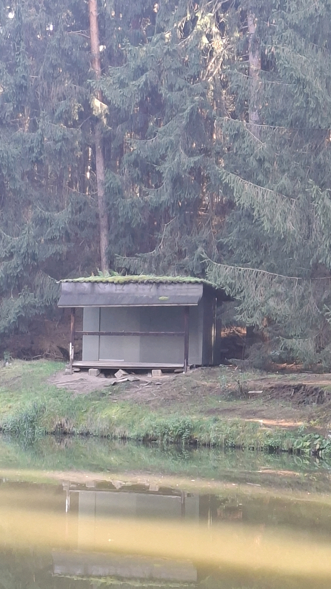 A wooden structure, likely a shelter or shed, stands on the edge of a body of water, possibly a pond or lake. The structure has a flat, dark roof covered in moss and appears to be open on at least one side, revealing a light-colored interior. It is supported by wooden posts and rests on a base of wooden planks. The surrounding environment is wooded, with tall evergreen trees forming a dense backdrop. The water in the foreground reflects the trees and the structure, with a greenish hue. The ground around the shelter is covered in grass and soil. The scene appears to be located in Winkelhaid, Germany.