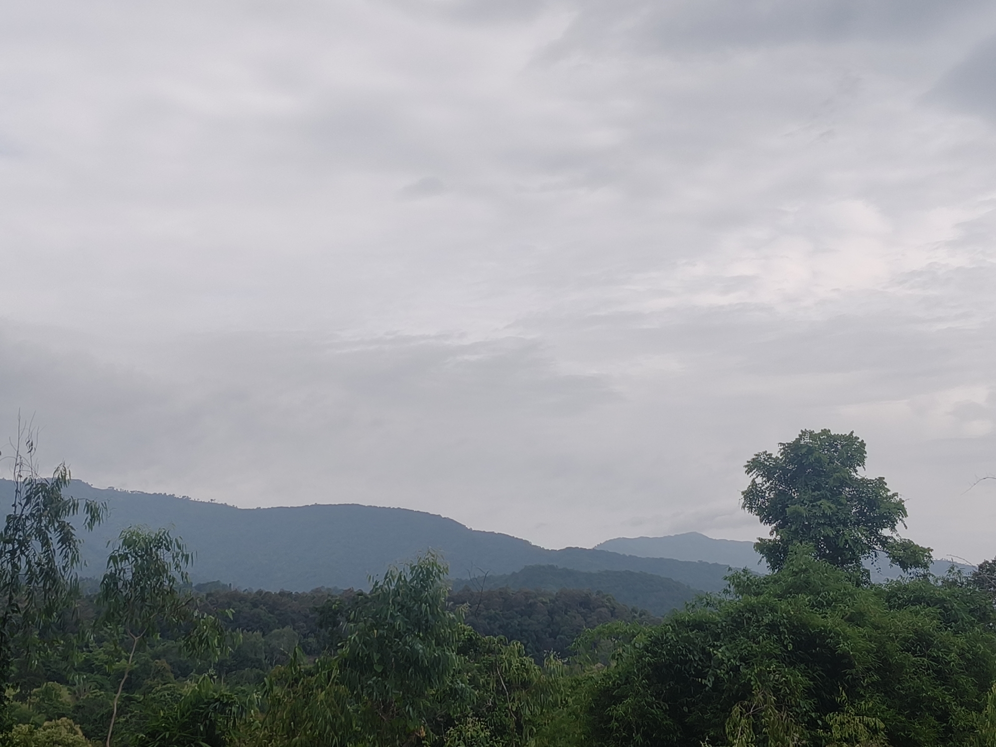 The image depicts a panoramic view of a mountainous landscape with lush vegetation in the foreground, likely in Ban Pong Klang, Thailand. The sky is overcast with a thick layer of clouds, casting a diffused light over the scene. Rolling hills and mountains are visible in the background, their shapes softened by the atmospheric conditions. In the immediate foreground, a dense canopy of various trees and foliage creates a verdant barrier, with a prominent, tall tree standing out on the right side of the frame. The overall impression is one of a natural, undeveloped environment under a gray sky. There are no people or visible man-made structures in the image.