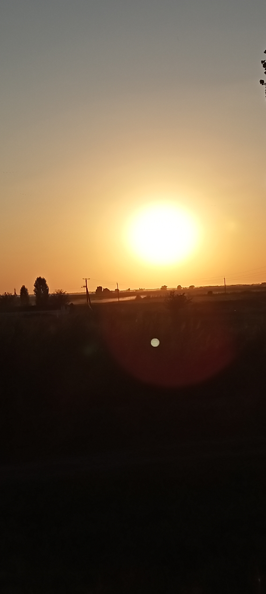 The image shows a wide shot of a landscape at sunset. The sun, a bright, almost white orb, dominates the upper center of the frame, casting a warm, orange glow across the sky. The sky transitions from a light gray at the top to a vibrant orange near the horizon.
In the middle ground, silhouetted against the bright sky, are several elements. There appear to be trees, some tall and slender, others more bushy, clustered on the left side of the image. In front of these trees and extending across the horizon are power lines supported by utility poles. There is a faint haze or mist rising from the ground in the distance, obscuring some of the details of the landscape.
The foreground is almost entirely dark, with the exception of a bright, circular lens flare slightly to the right of the center, and a smaller, less intense one below it. This suggests the photograph was taken looking towards the sun, causing the lens flare.
There are no people or animals visible in the image. The environment appears to be rural or semi-rural, with elements of agriculture suggested by the open fields and the presence of utility infrastructure.
The image is a vertical, portrait-oriented photograph. The overall mood is serene and tranquil, characteristic of a sunset.
Without further information, it is impossible to pinpoint the specific location in the city of Aral, Kyrgyzstan. However, the landscape elements are consistent with a setting that could be found in or around Aral.