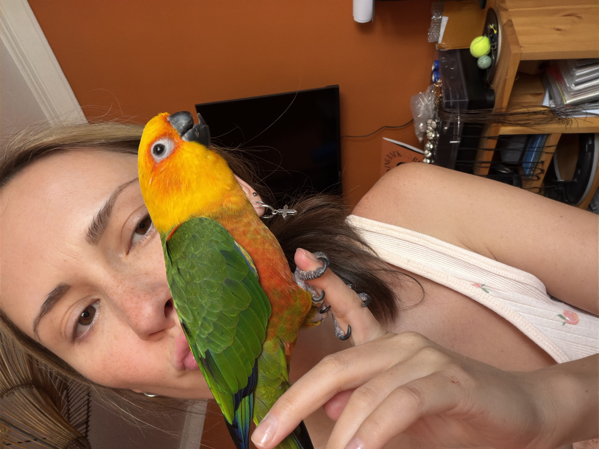 A woman and a sun conure parrot are captured in a close-up, overhead selfie. The woman, with light brown hair and freckles on her face, looks towards the camera with a playful expression, sticking her tongue out slightly. She is wearing a light pink tank top with a subtle fruit pattern. The sun conure, with its vibrant yellow head and green wings, is perched on her finger, its sharp claws gripping her skin. The background suggests an indoor setting with an orange wall, a black television screen, and a shelf filled with various objects, including what appear to be two small balls. The lighting indicates it is daytime. The image evokes a sense of intimacy and affection between the woman and her pet.