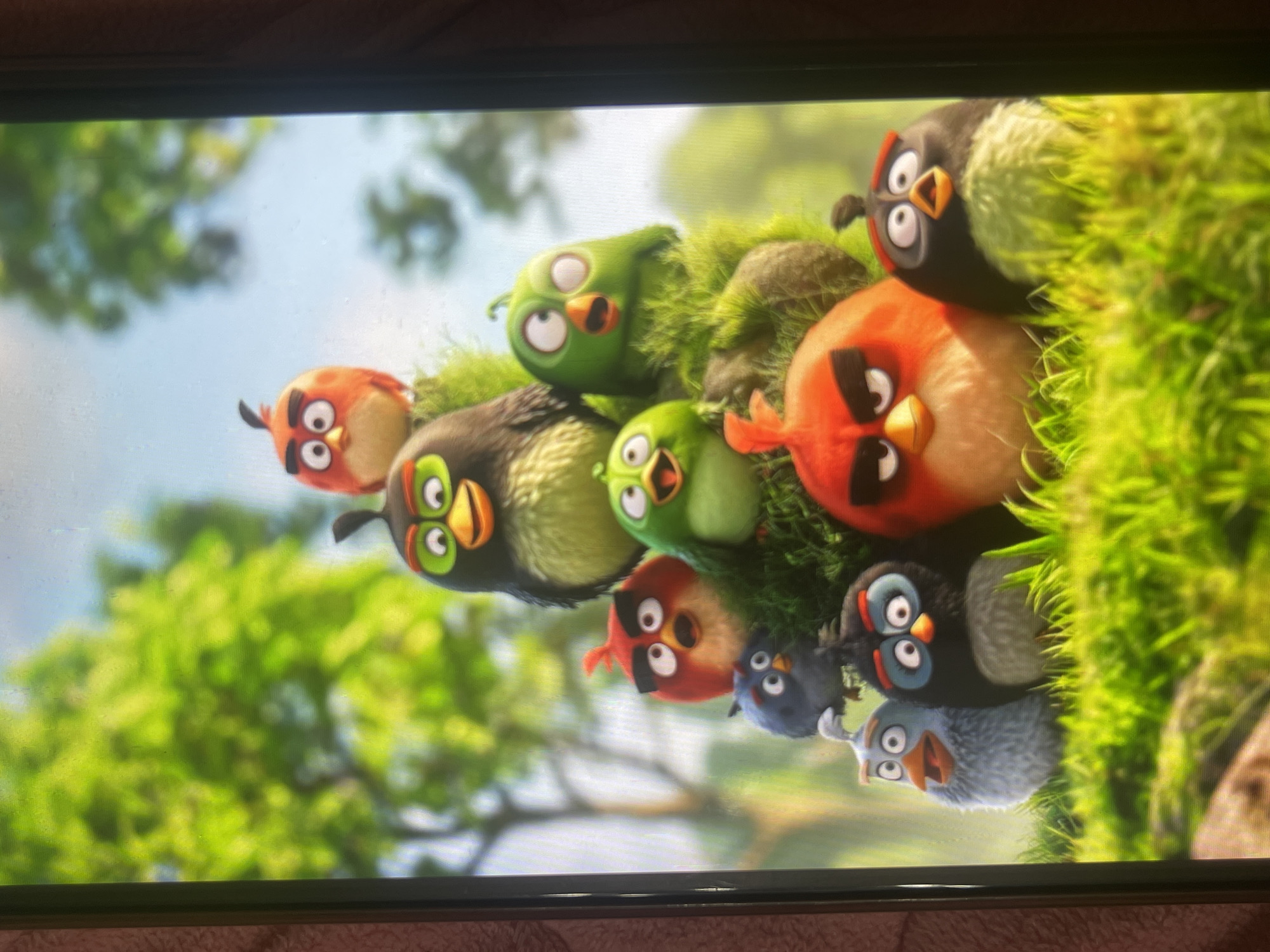 A still image shows a group of cartoon birds, identified as "Angry Birds" characters, perched on a moss-covered mound in a natural outdoor setting. The birds are arranged in a tiered formation, with larger birds at the bottom and smaller ones at the top. Their expressions are varied, ranging from surprise to mild aggression. The background features lush green trees and a bright blue sky, suggesting a sunny day. The image is captured from a slightly low angle, emphasizing the height of the mound and the characters. There is no visible indication of any specific location in Bishkek City, Kyrgyzstan, or any urban elements within the scene. The scene appears to be a promotional still or a frame from an animated movie or series.