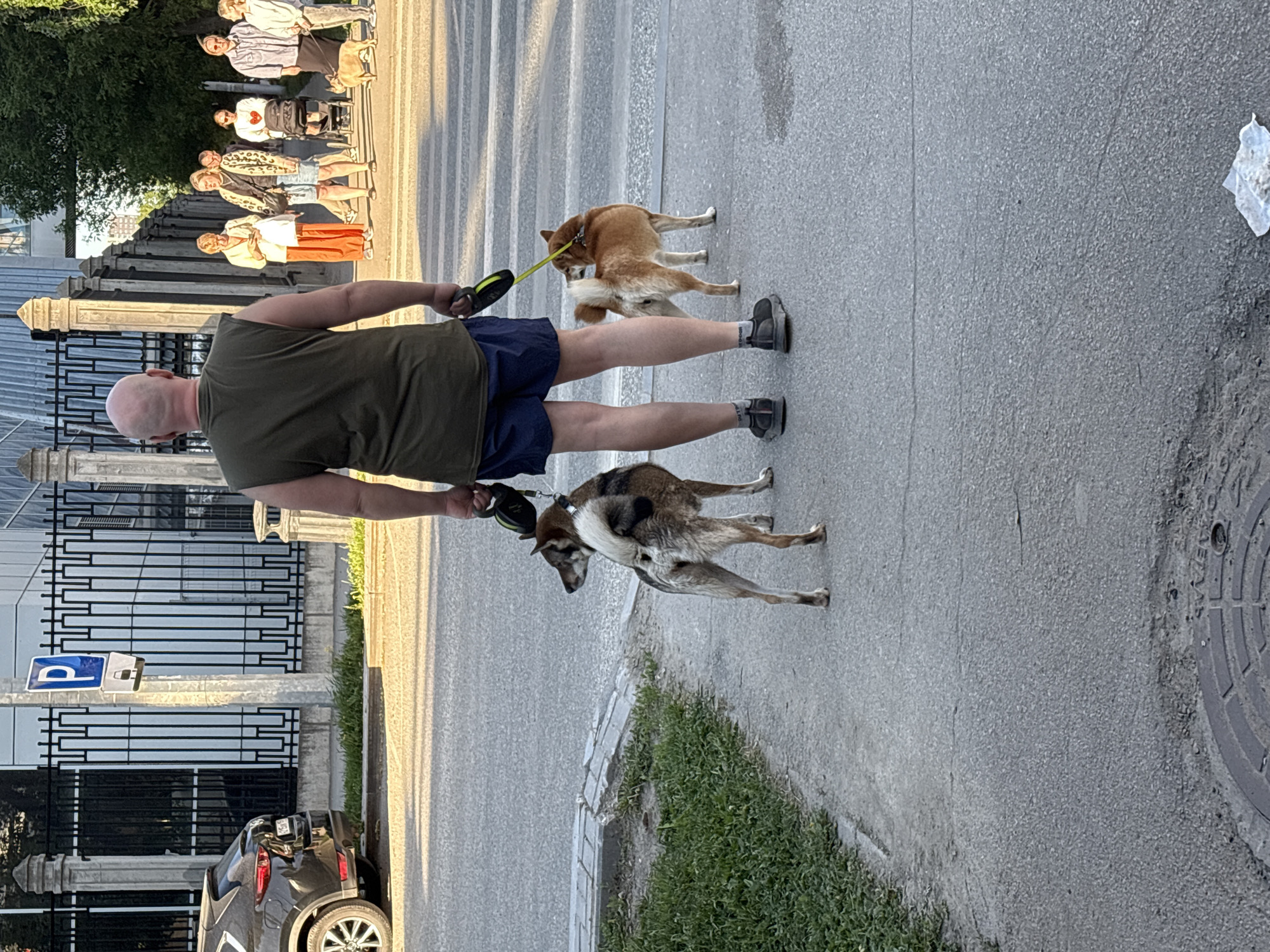 A man walks two dogs on leashes along a city street in Perm, Russia. The man is bald, wearing a green t-shirt, blue shorts, socks, and athletic shoes. The dogs are a Shiba Inu and a mixed-breed dog. The street is paved and has a sidewalk on the right side with grass growing along the curb. A manhole cover is visible on the right side of the street. A parked car is partially visible on the left, along with a fence and a parking sign. In the background, a group of people is standing on a crosswalk. The lighting indicates it is daytime.