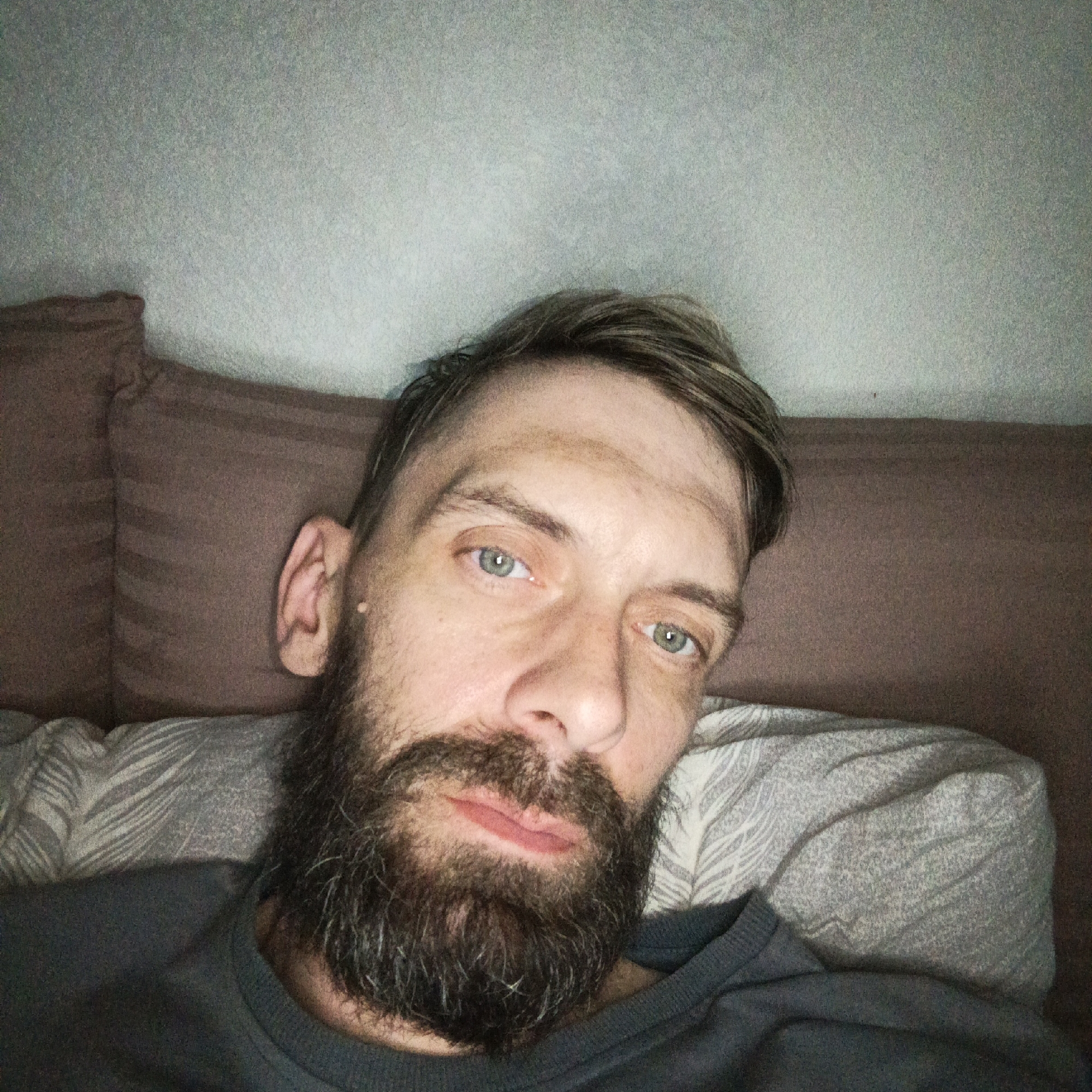 A close-up, slightly high-angle shot depicts a man reclining on a bed or sofa. The man has light skin, short, light brown hair with darker roots, and a full, dark beard with some gray hairs. His eyes are blue. He is wearing a dark gray sweater or sweatshirt. He appears to be resting against two pillows: one a solid brown color and the other patterned with a light gray and white design. The background is a plain, light-colored wall. There is no indication of city.