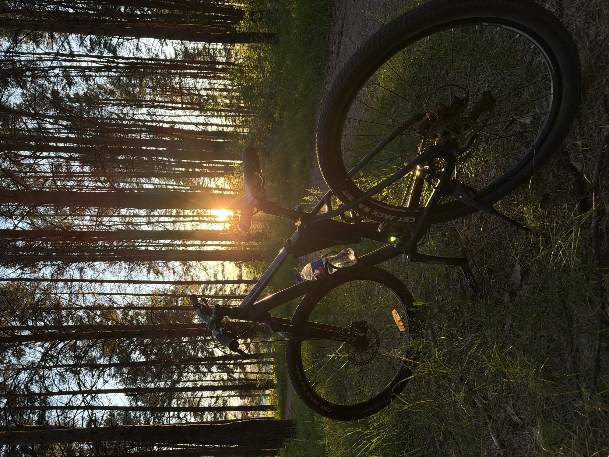 This image, taken in a forest near Chaikovsky, Russia, depicts a bicycle resting on its side on a grassy path during the golden hour. The warm, low-angle sunlight filters intensely through a dense stand of tall, slender coniferous trees, creating prominent lens flare and long shadows across the scene.
The primary subject is a dark-colored mountain bike equipped with disc brakes. A clear plastic water bottle, partially visible as "BON AQUA", is secured in its frame cage. The tires clearly display the branding "CST JACK RABBIT". The bike also features an orange reflector on the rear wheel and a small light or reflector on the front. The ground is covered with green grass interspersed with dried leaves and needles.
No people are visible, contributing to an atmosphere of peaceful solitude. The scene is bathed in the soft, glowing light characteristic of either sunrise or sunset, emphasizing the tranquil beauty of the natural environment.