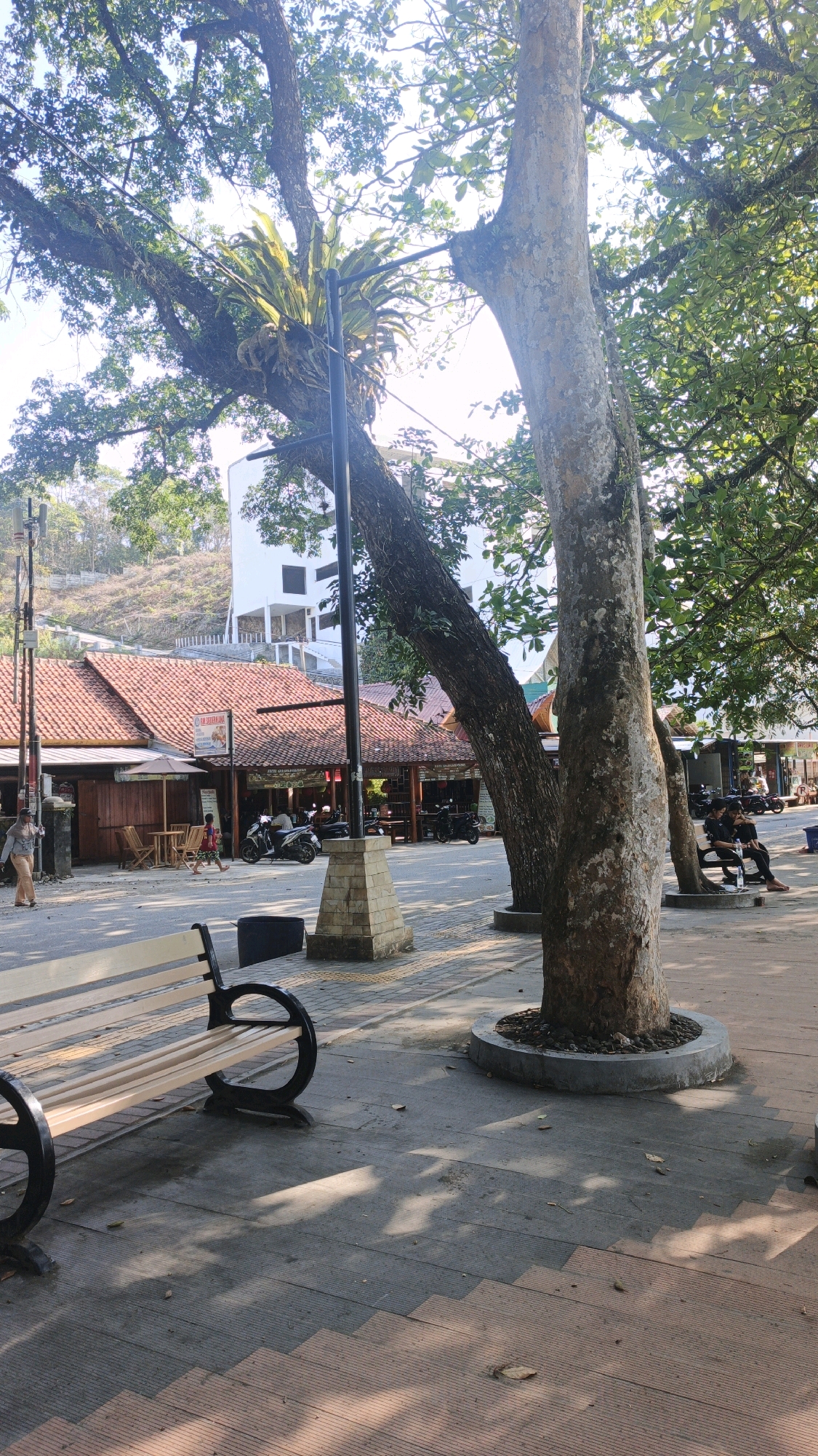 The image depicts a street scene in Desa Batukaras, Indonesia, featuring a paved walkway lined with trees and a row of buildings with traditional terracotta roofs. In the foreground, a wooden park bench with black metal supports is positioned on the patterned pavement. Sunlight casts dappled shadows from the trees onto the ground.
Behind the bench, a large tree trunk with textured bark dominates the right side of the frame, with its branches extending upwards into the foliage. A smaller, older tree to its left has a bird's nest fern attached to one of its thick branches, and a black lamp post with a square base rises from the ground near it.
Further back, the buildings appear to be shops or eateries, with awnings and seating areas visible. Several motorcycles are parked in front of these establishments. A few people are present: one woman walks on the left side of the walkway, carrying a bag. On the right, two individuals are seated on another bench under the shade of the trees, facing away from the camera. In the background, a multi-story white building is visible on a hillside. The overall environment suggests a moderately busy outdoor commercial or recreational area.