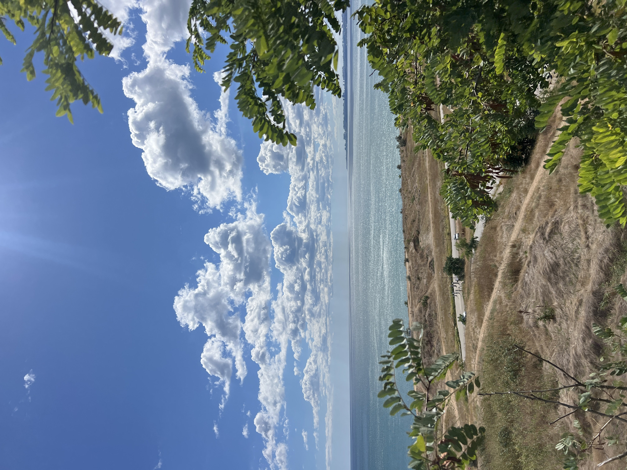The image shows a scenic view of the Black Sea from a grassy hillside in Fontanka, Ukraine. The sky is a bright blue with scattered white cumulus clouds, and the sun casts a warm glow on the water. The sea is calm and reflects the sunlight, creating a shimmering effect.
In the foreground, green leaves and branches of a tree frame the view, adding depth and a sense of natural beauty. The hillside itself is covered in dry, yellowish grass, suggesting a warm, possibly summer day. A winding dirt path snakes down the slope.
Further down the hillside, a paved road is visible, with a few cars and what appear to be people standing near a bus stop or a roadside attraction. In the distance, a city skyline is faintly visible along the coast.
The overall impression is one of a peaceful and picturesque coastal landscape, with elements of human activity integrated into the natural environment.